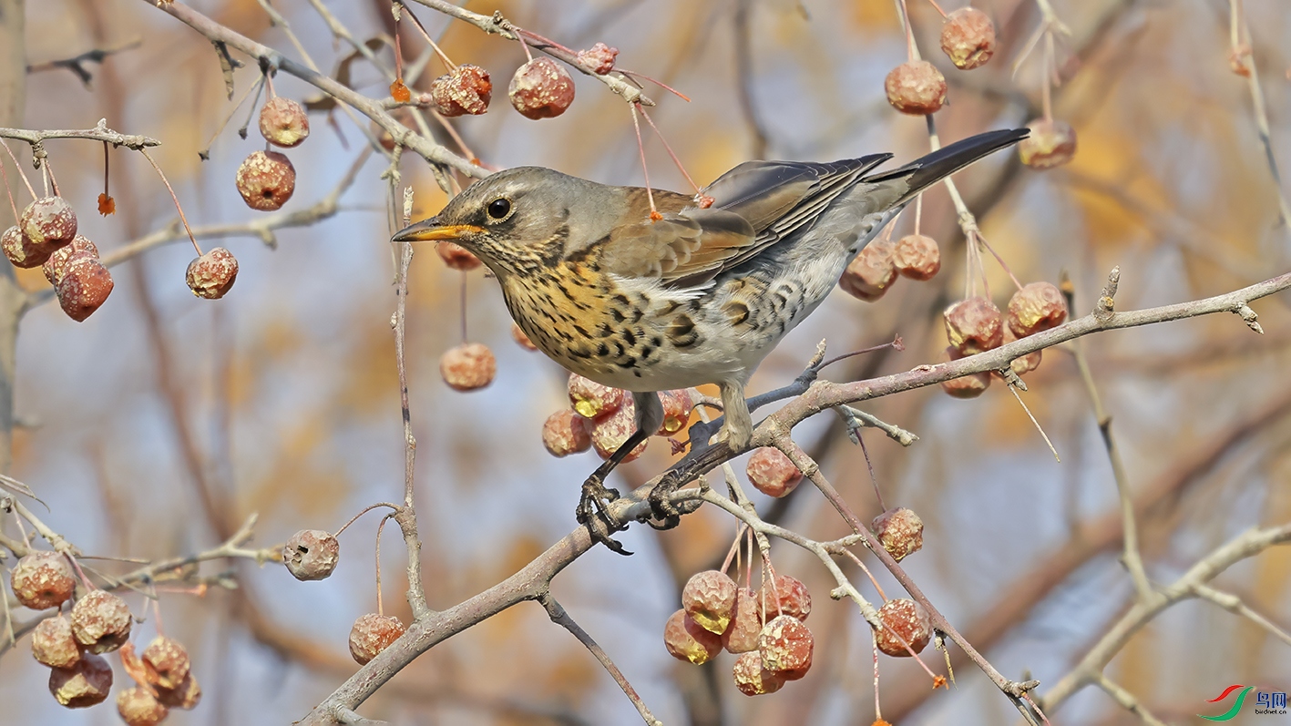 3U2A5517 ���� 2.jpg