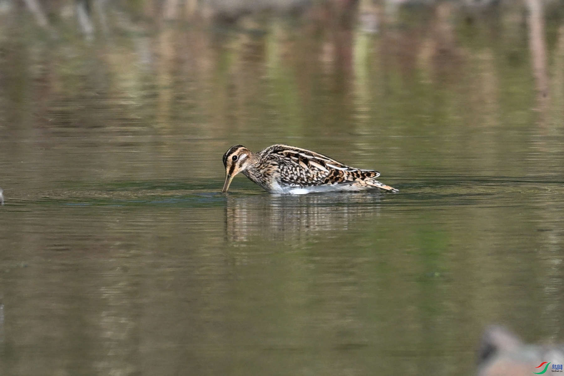 DSC_5120.JPG