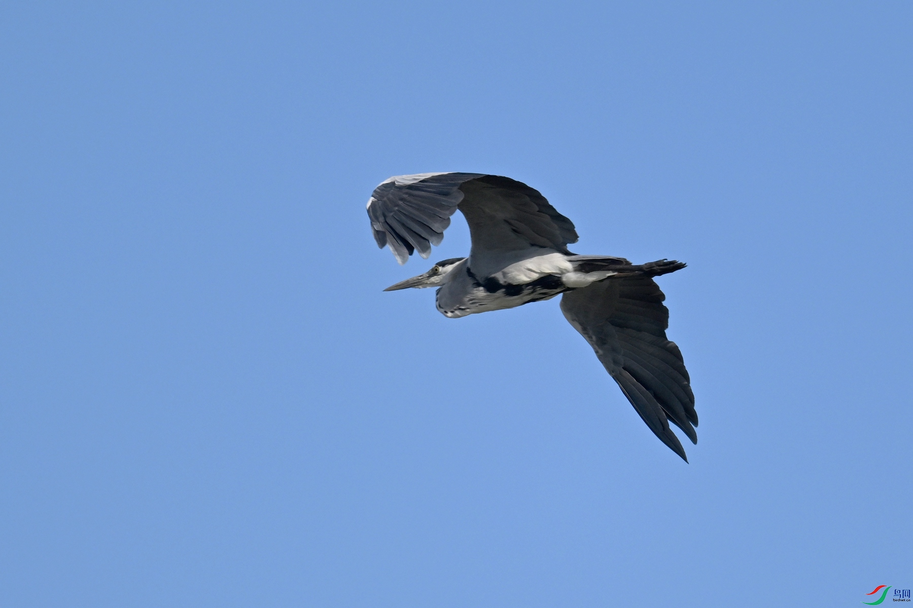 DSC_5141.JPG