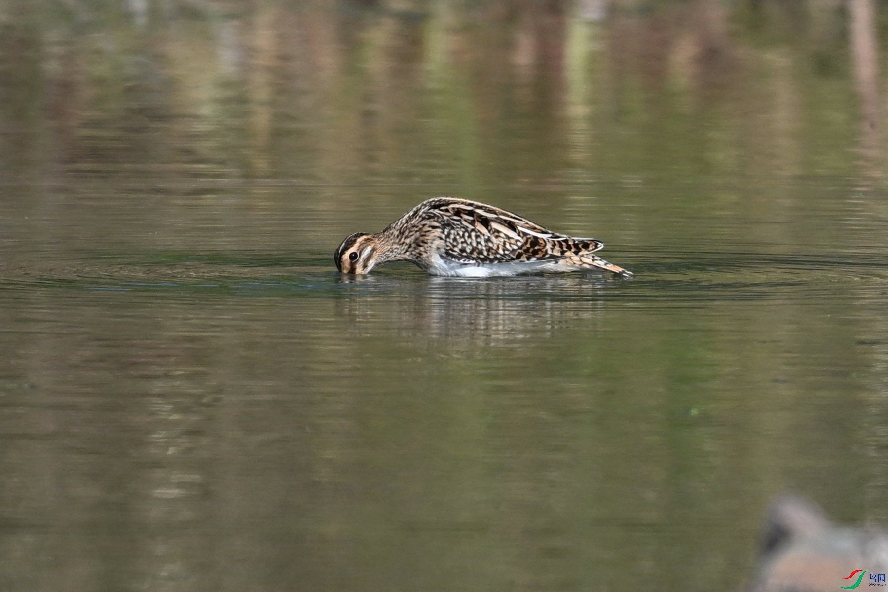 DSC_5121.JPG