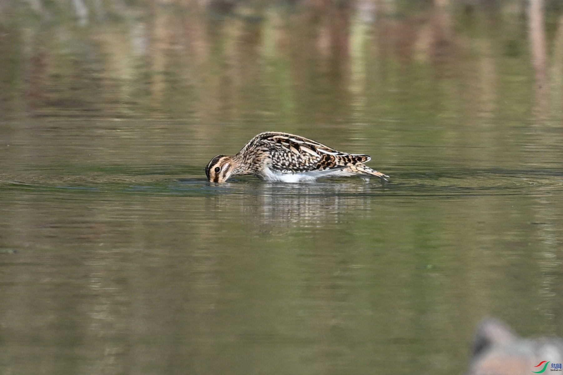 DSC_5123.JPG