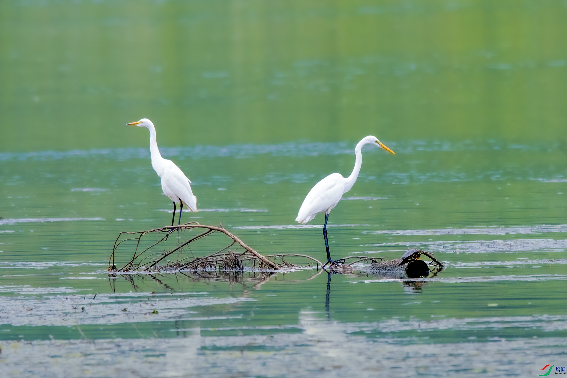 DSC_0840_��ͼ�� ����.jpg