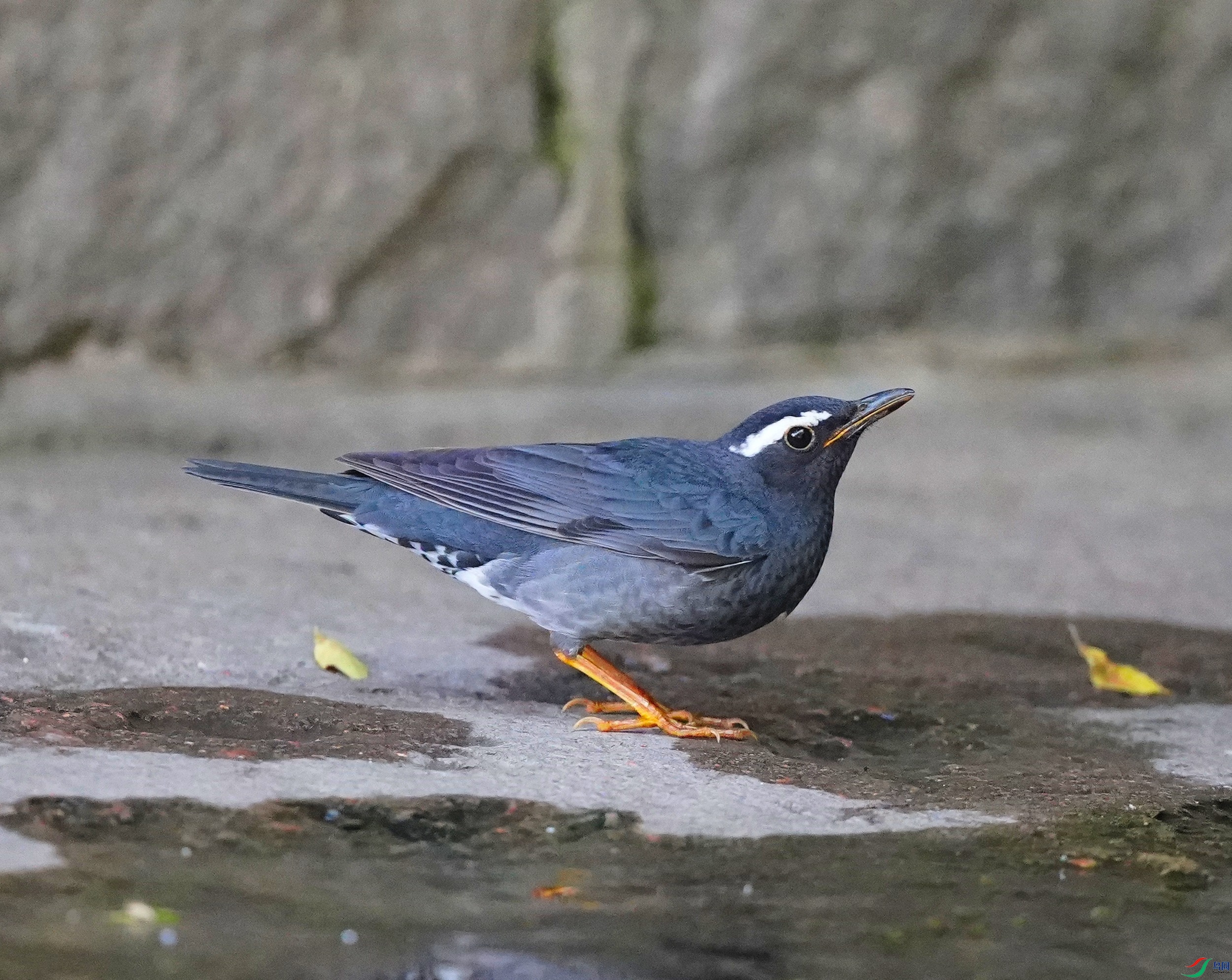 DSC05674.JPG