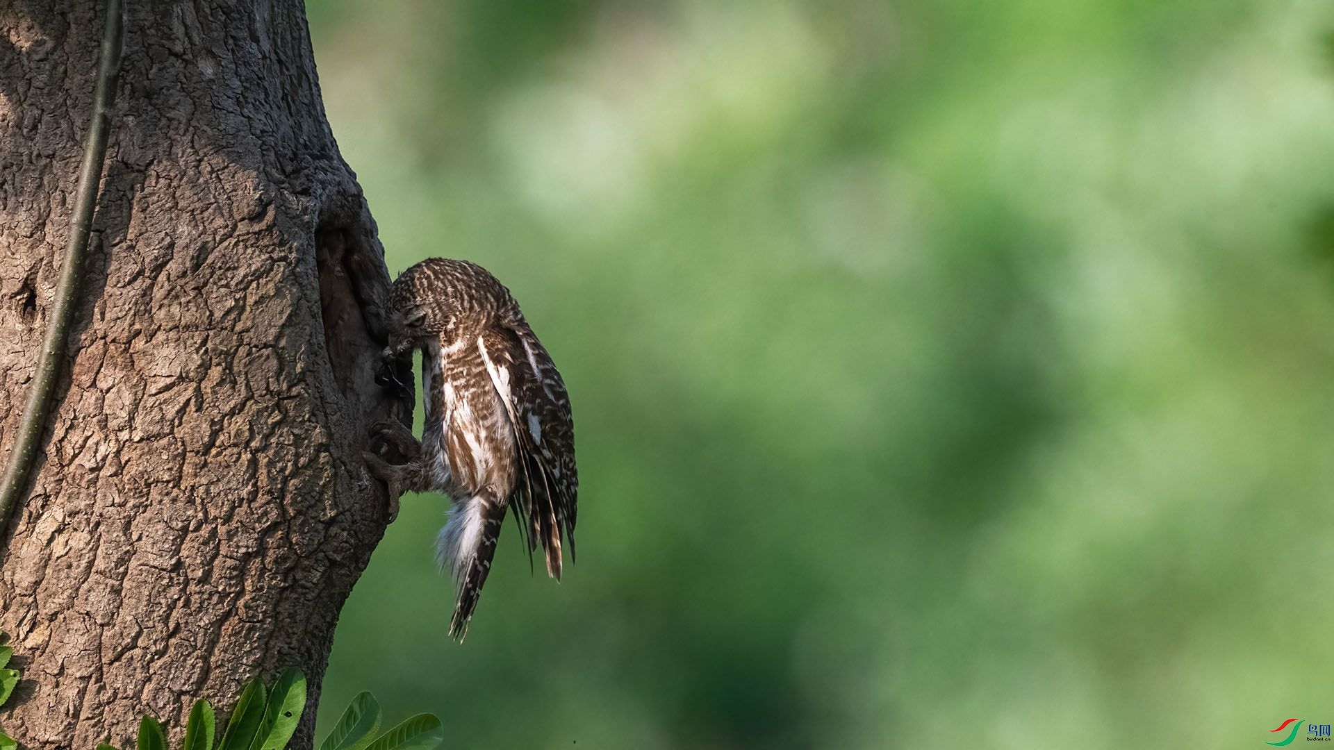 _DSC4996 ����.jpg