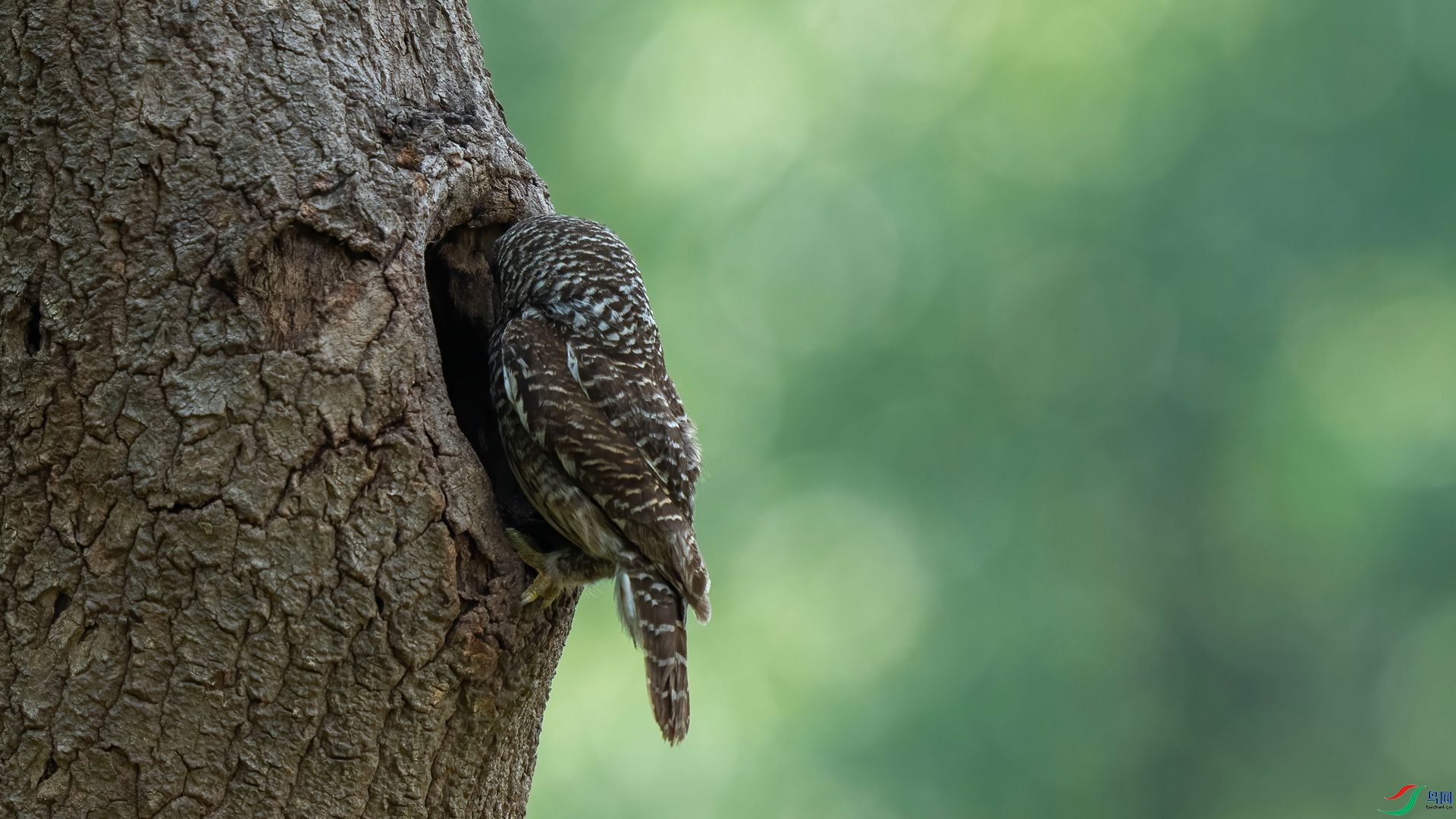 4��DSC07333 ����.jpg