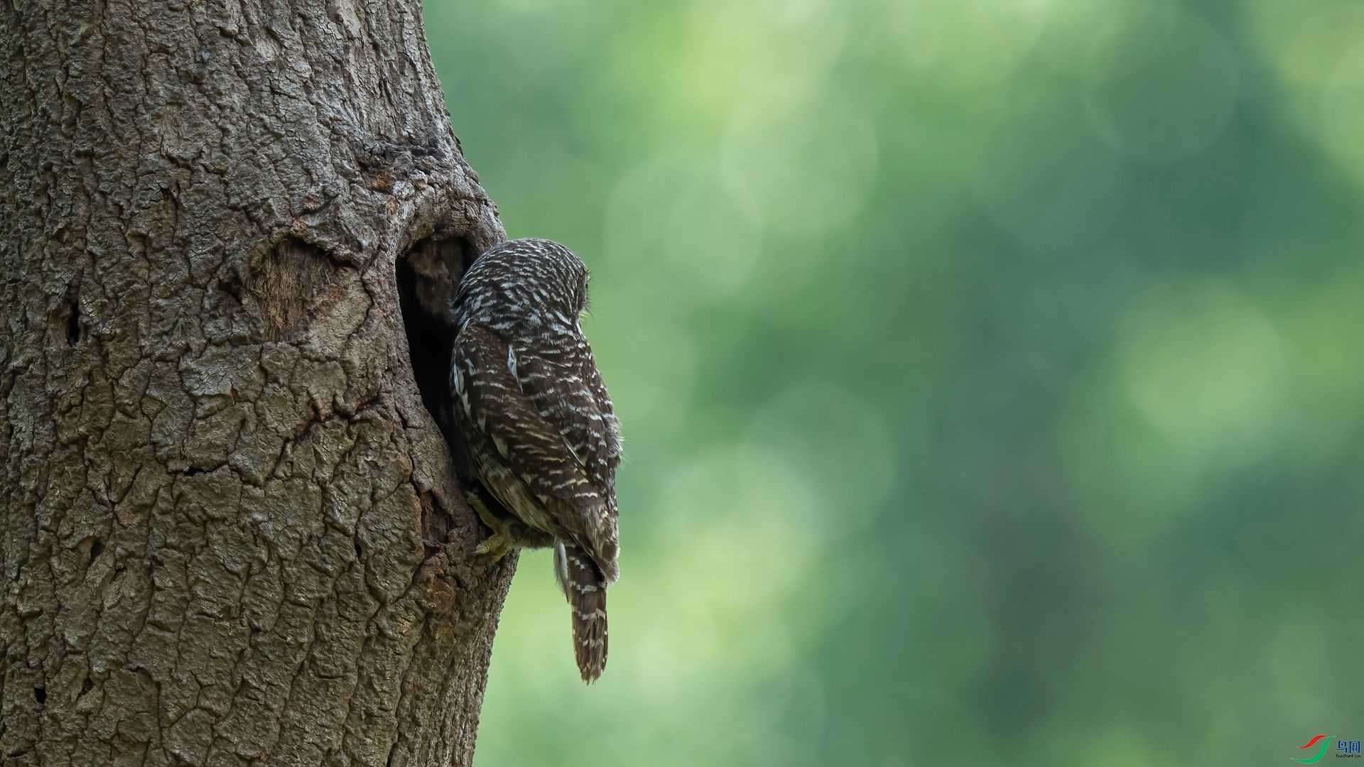 13��DSC07429 ����.jpg