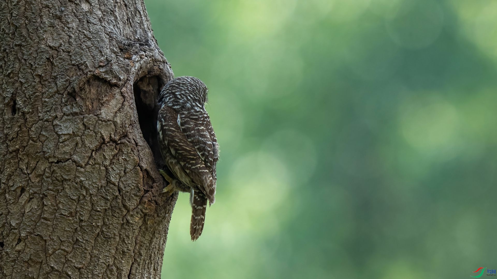 14��DSC07431 ����.jpg