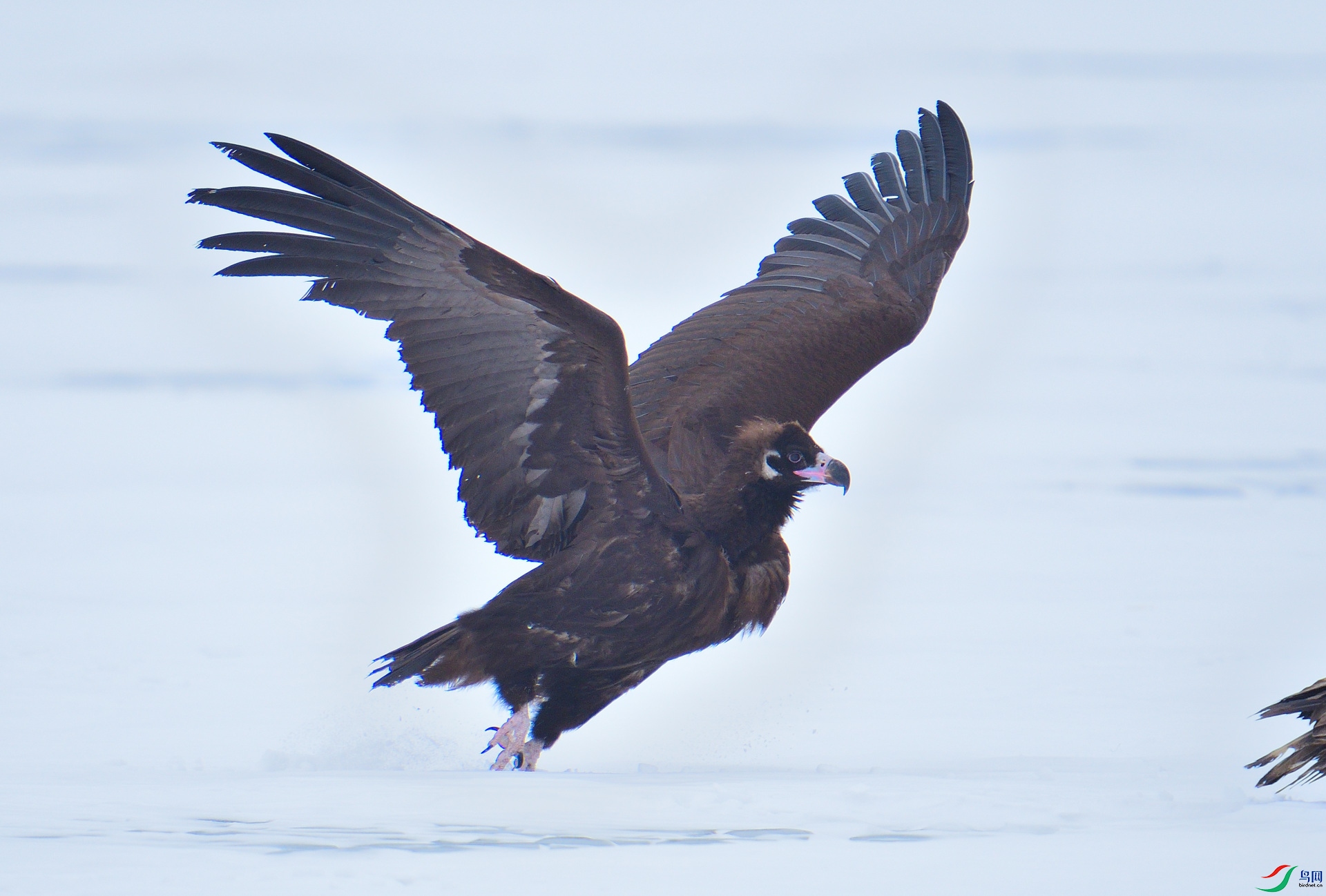 DSC_7842.JPG