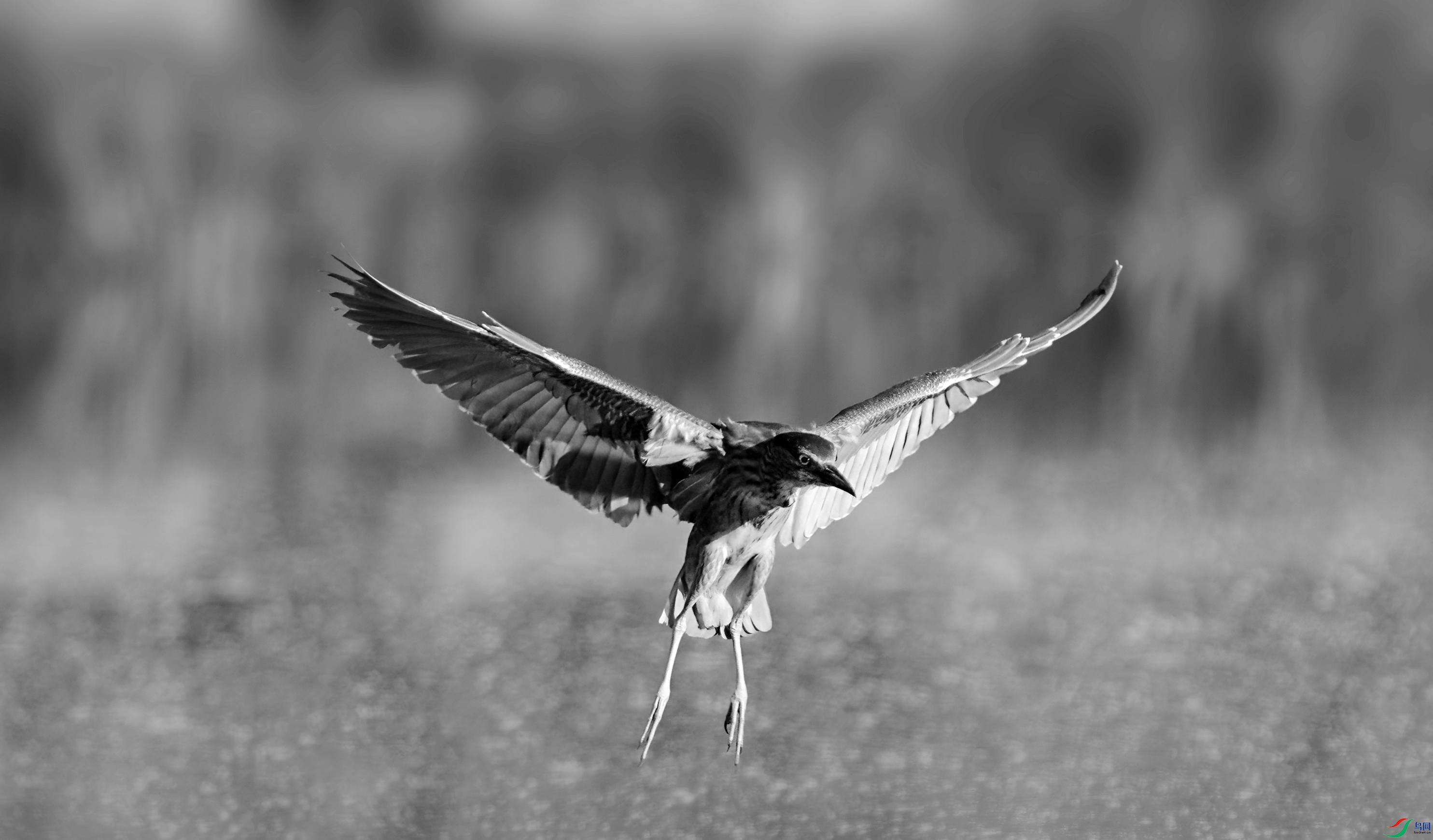 DSC07419 ����_����.jpg