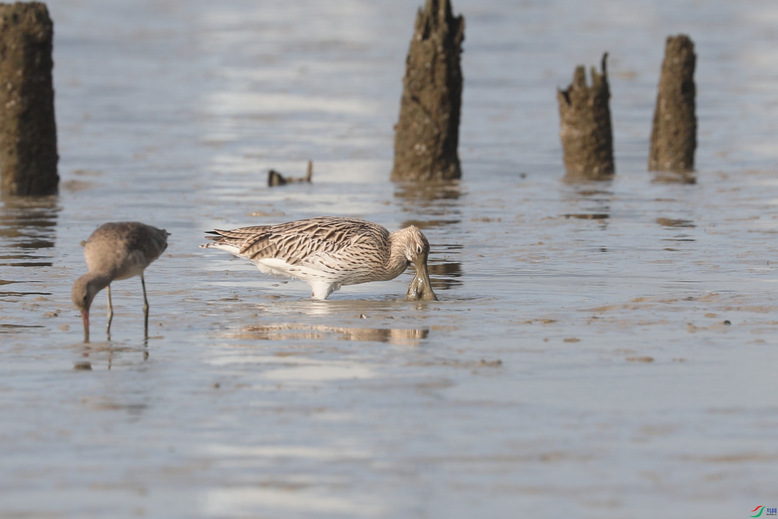 BL7A5035.JPG