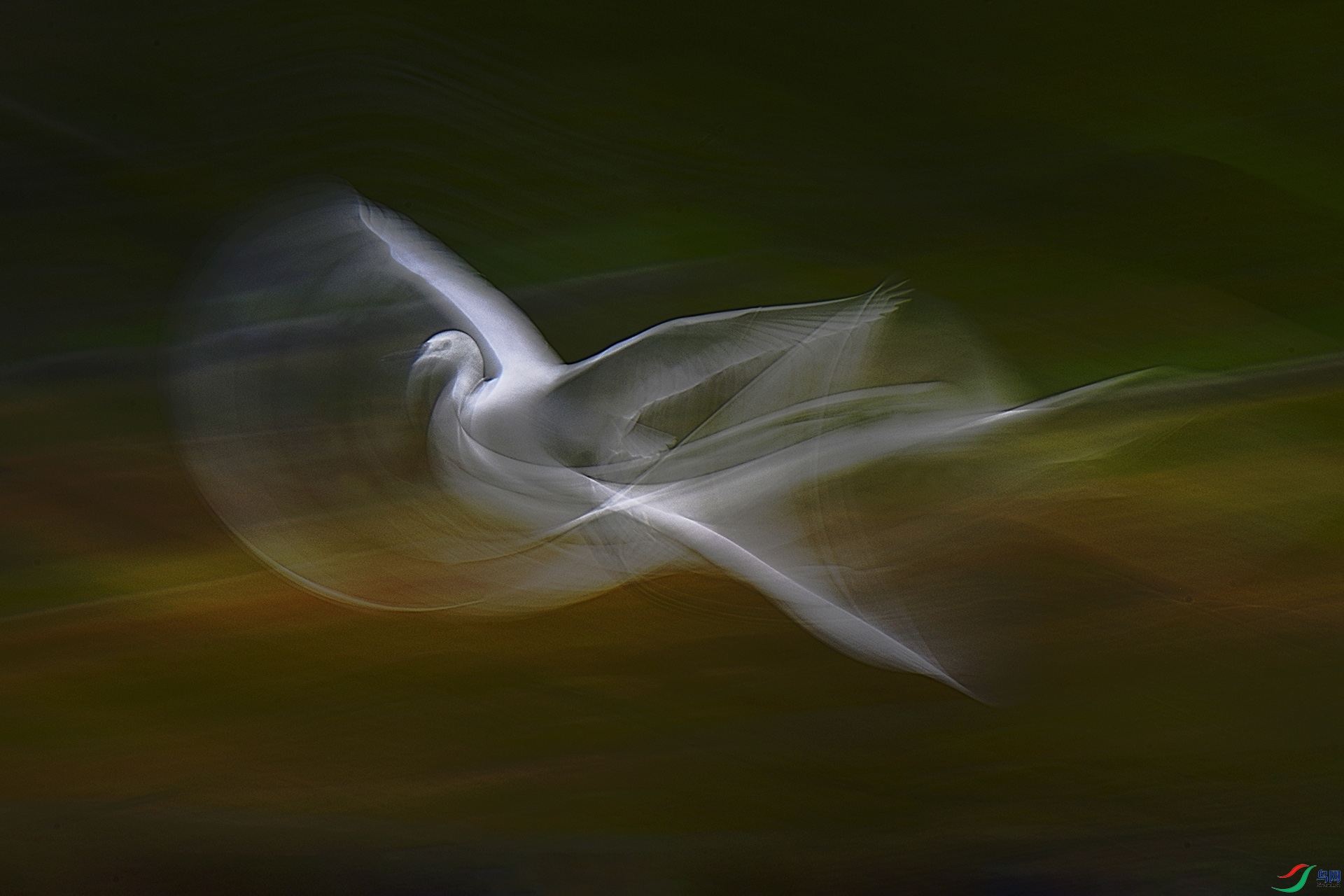 _DSC7206_00001-1.jpg