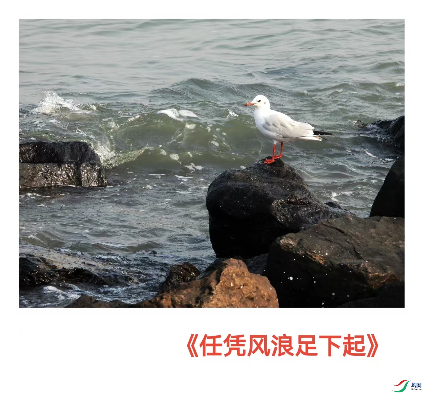 1e154bbe01321cdb0ff334b230c25842.jpg