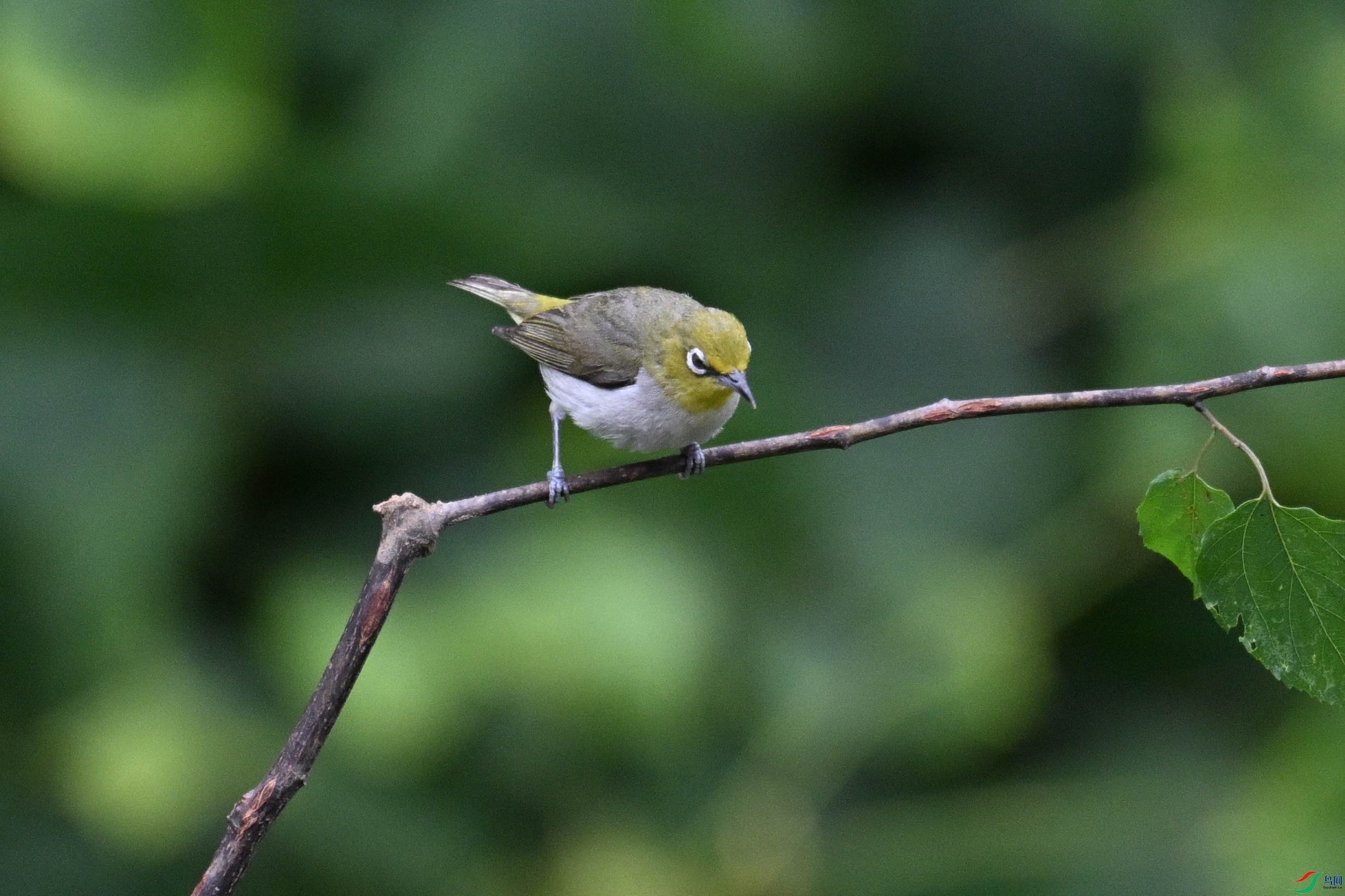 DSC_8022.JPG