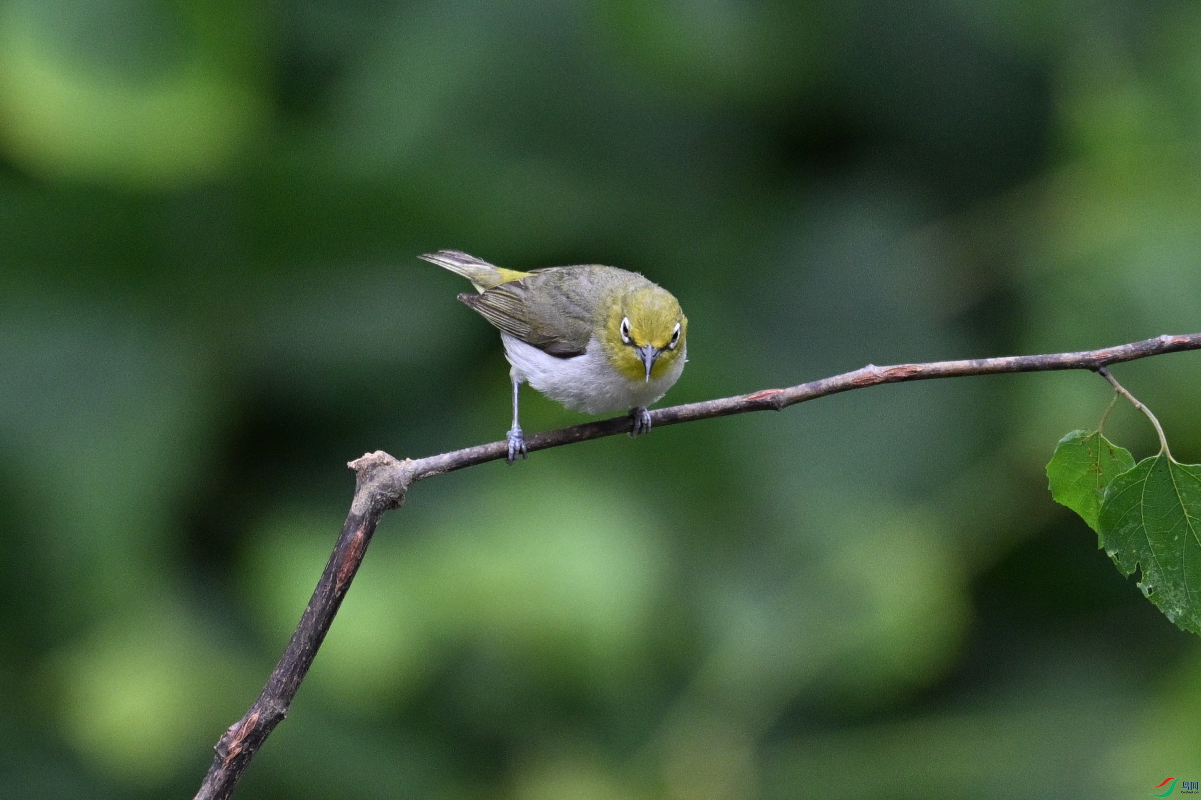 DSC_8017.JPG