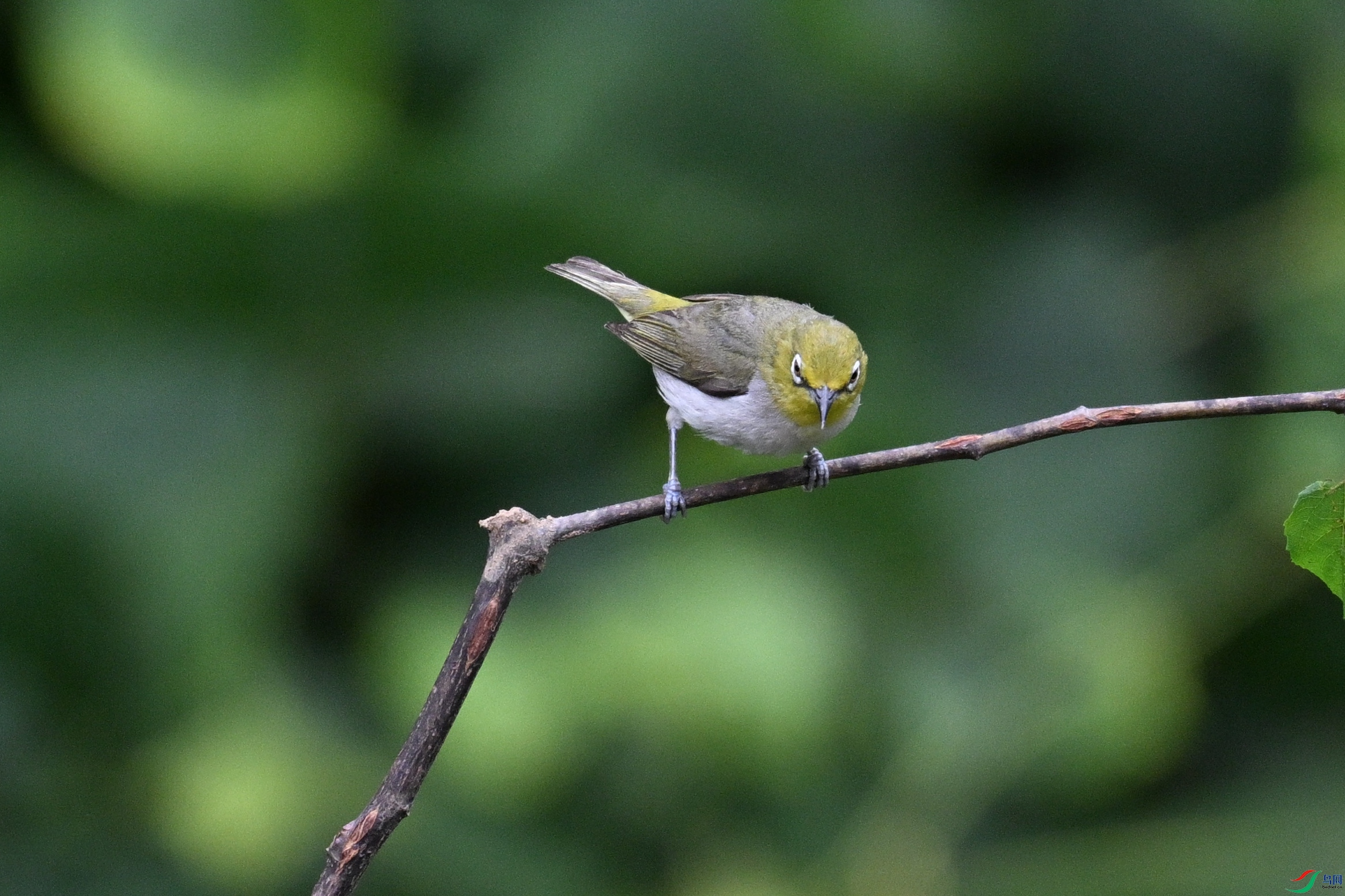 DSC_8006.JPG