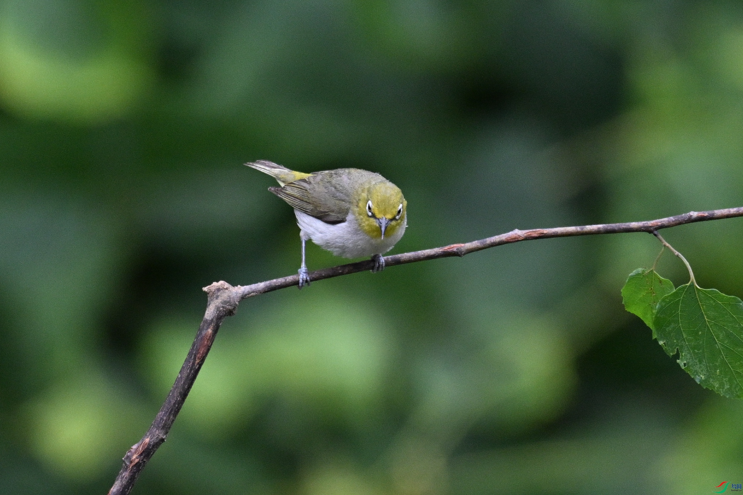 DSC_8020.JPG