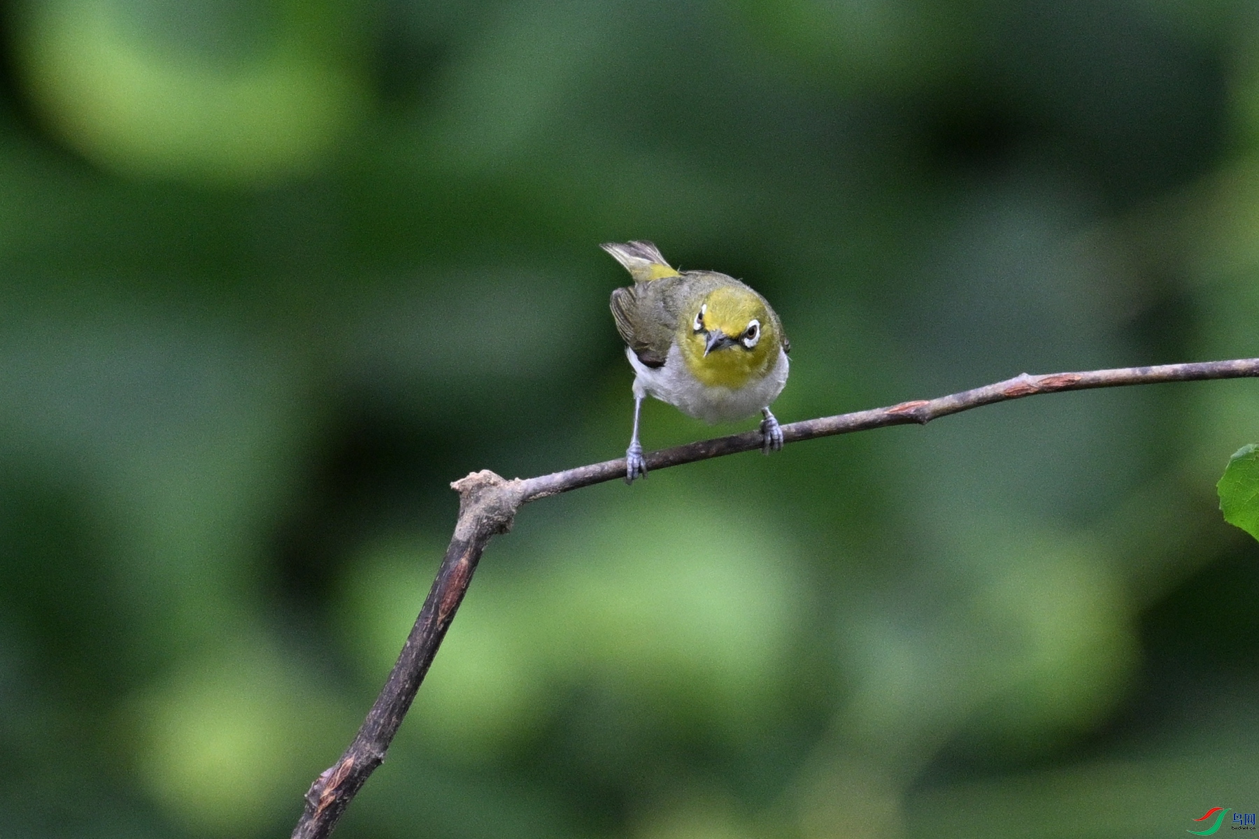DSC_7993.JPG