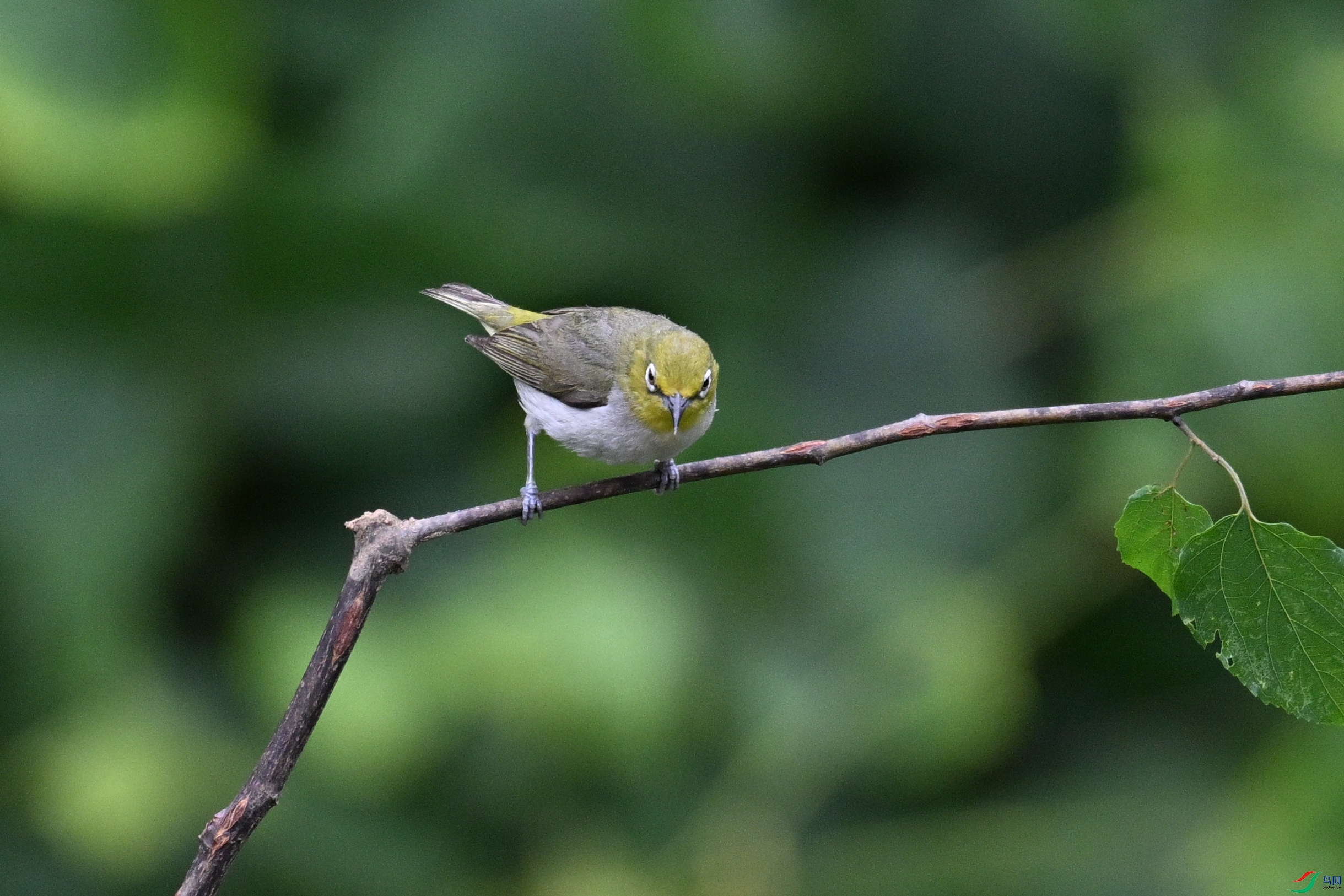 DSC_8010.JPG