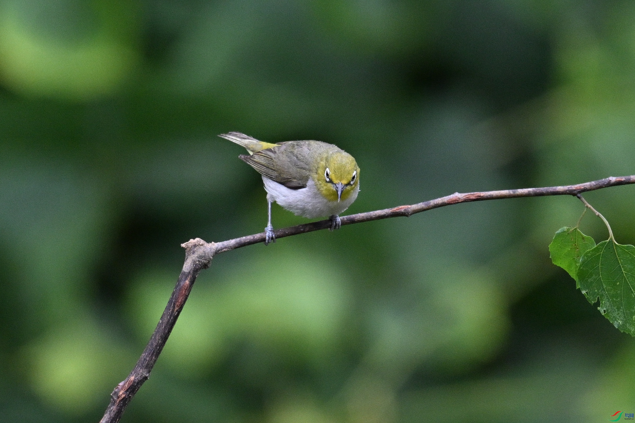 DSC_8015.JPG