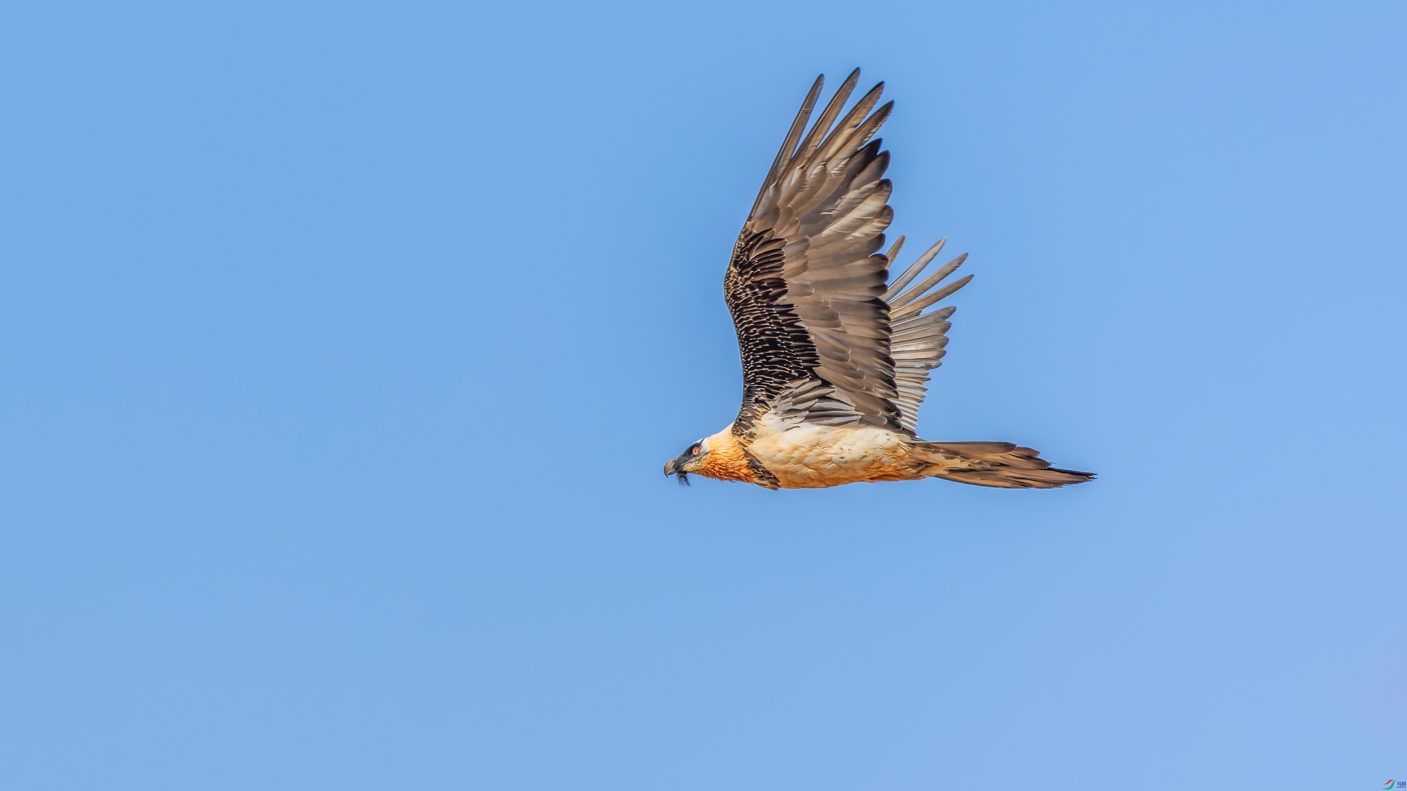 156A0956-DxO_DeepPRIME XD2s_XD ����.jpg