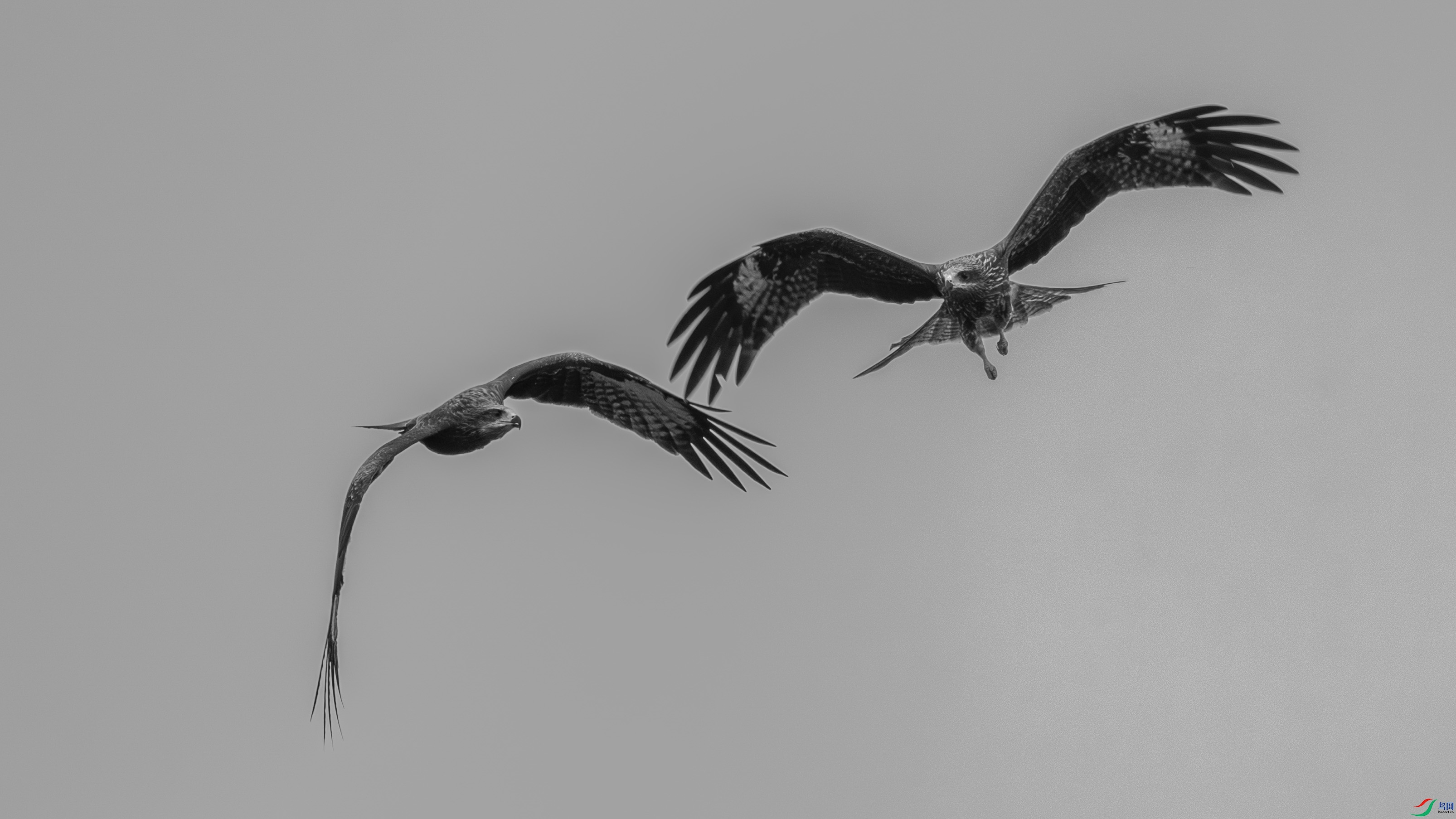 DSC_7121_1.JPG
