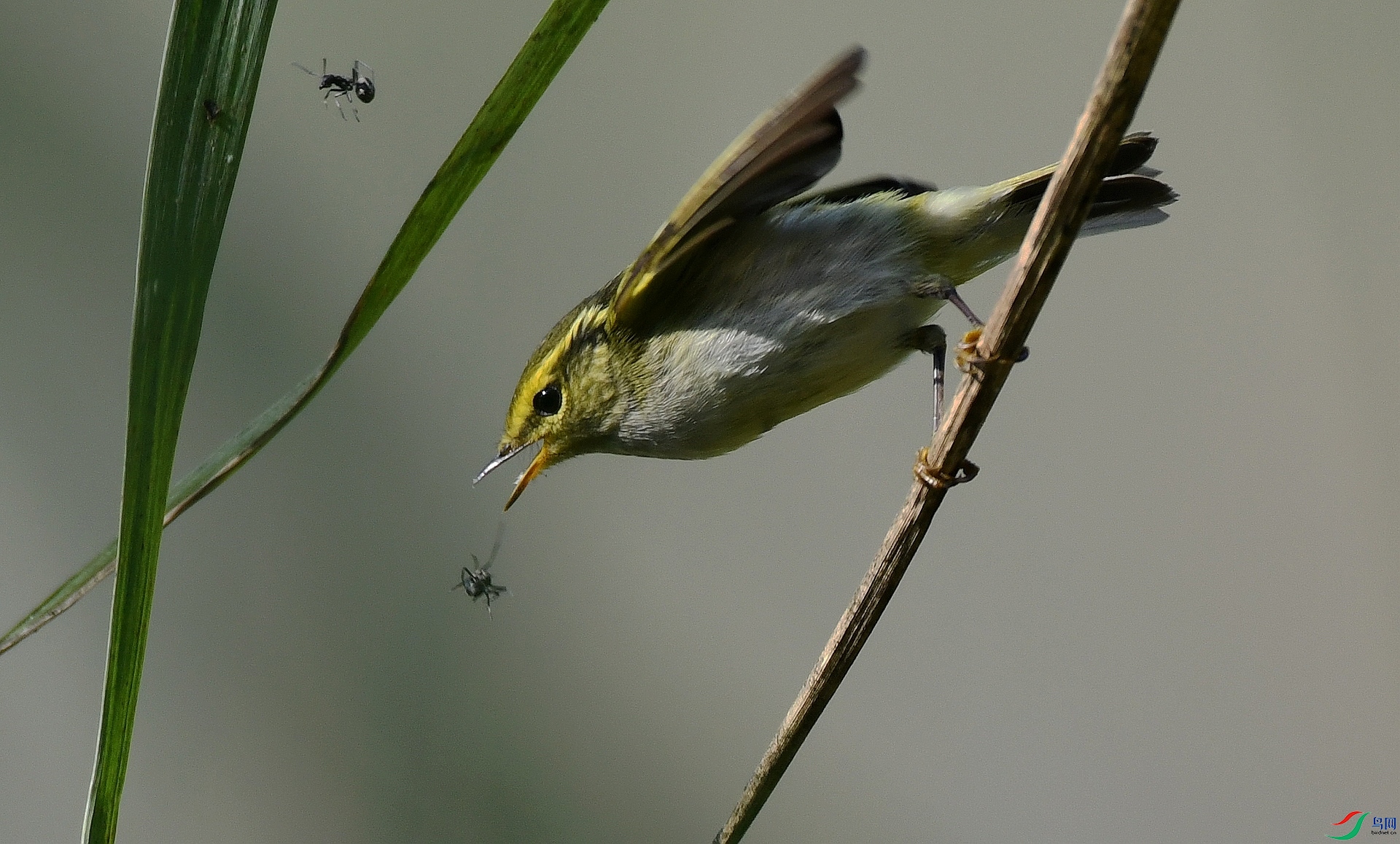 DSC_2356.jpg