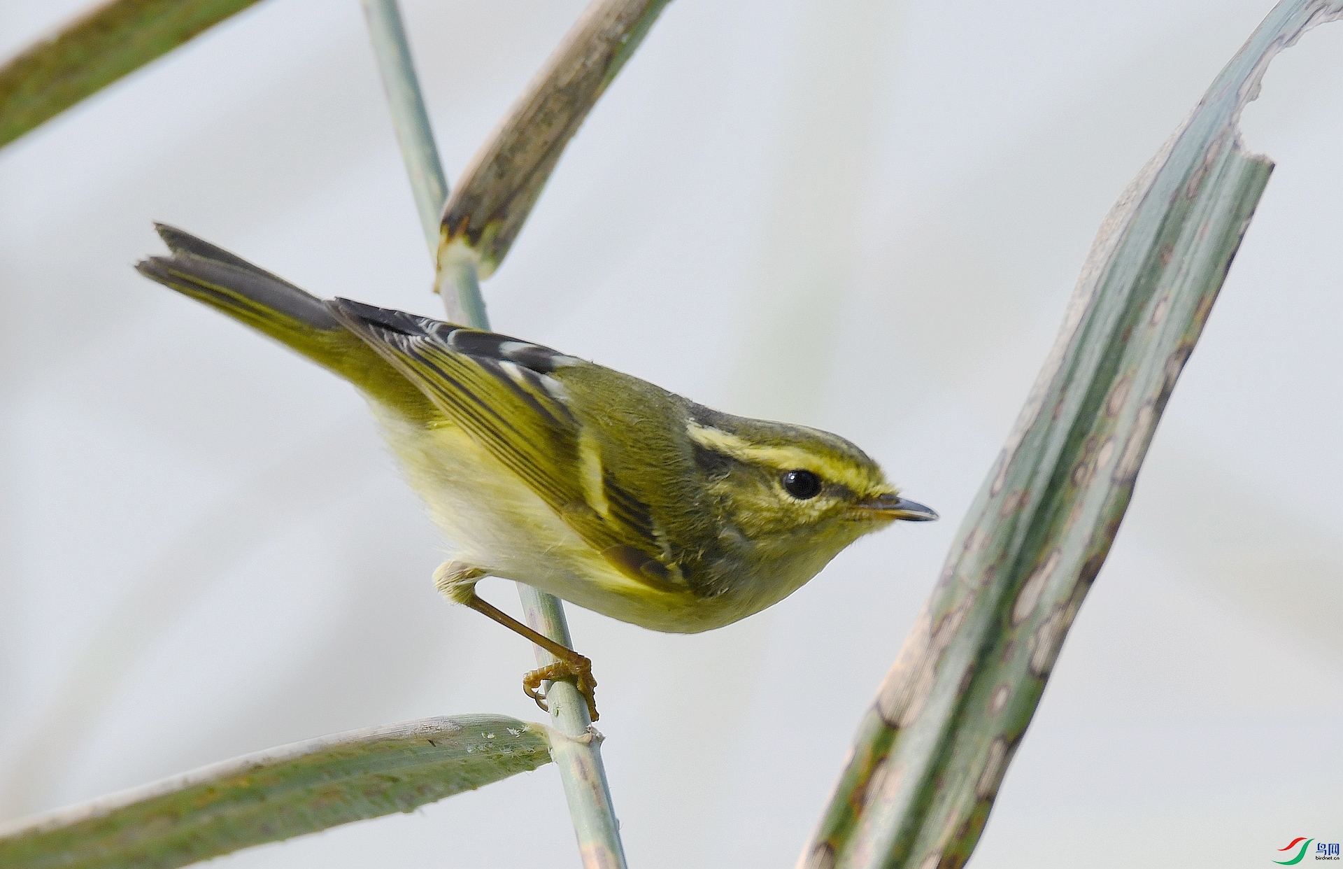 DSC_2279.jpg