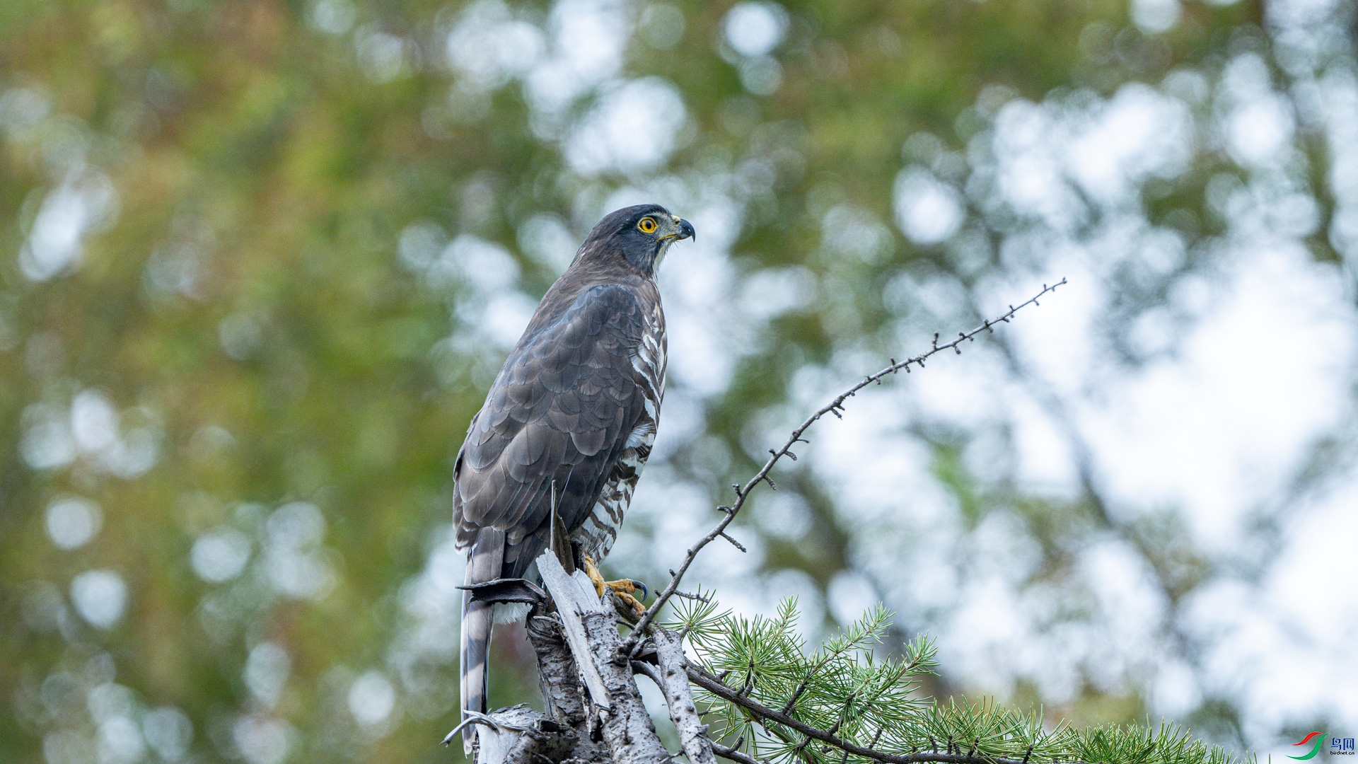 DSC_3202.jpg