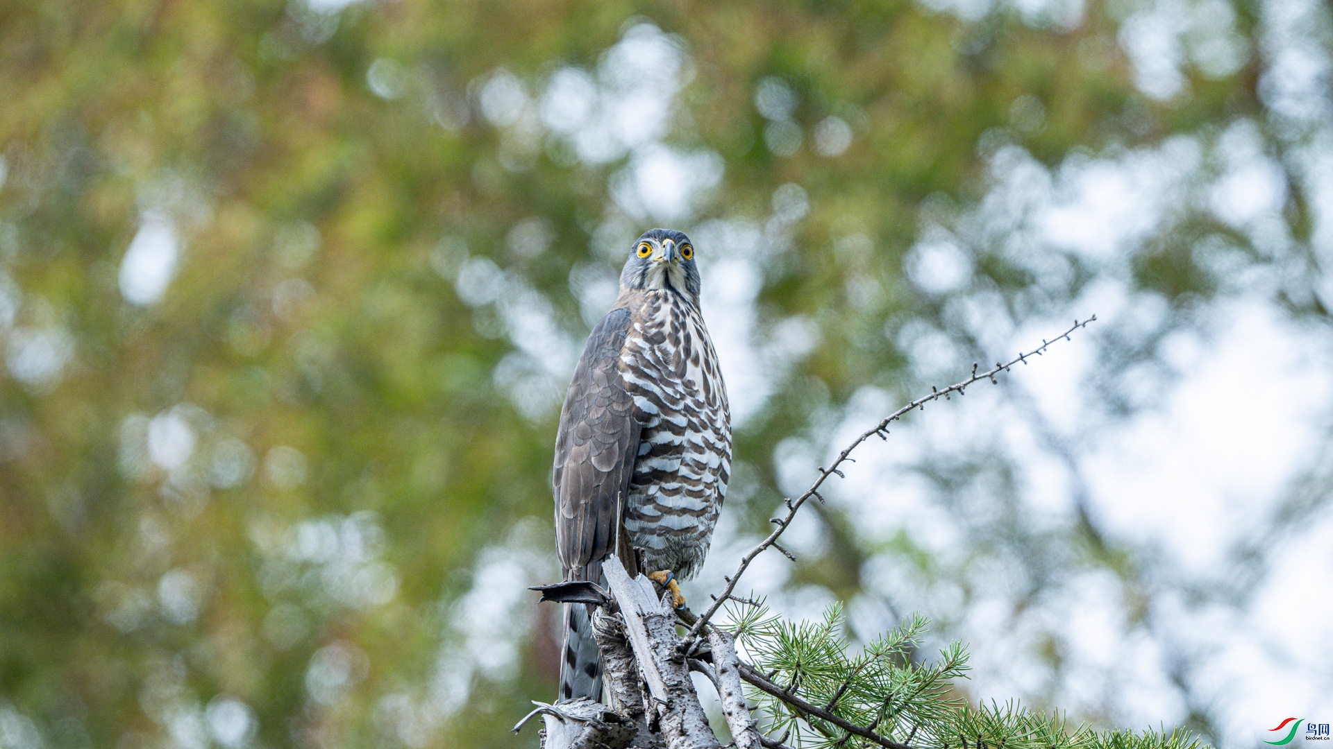 DSC_7167.jpg