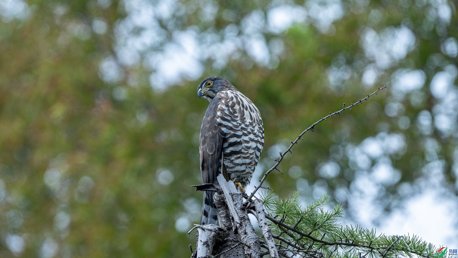 DSC_7178.jpg