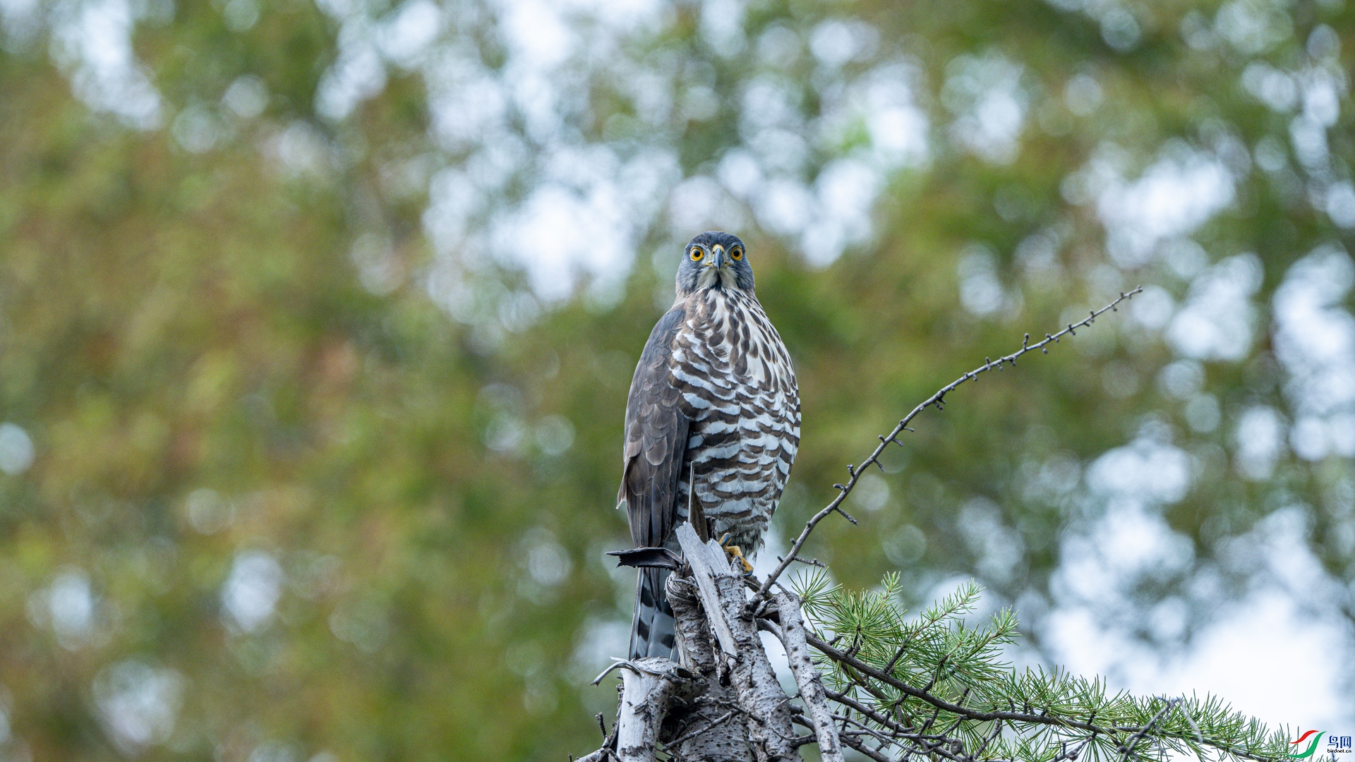 DSC_7181.jpg