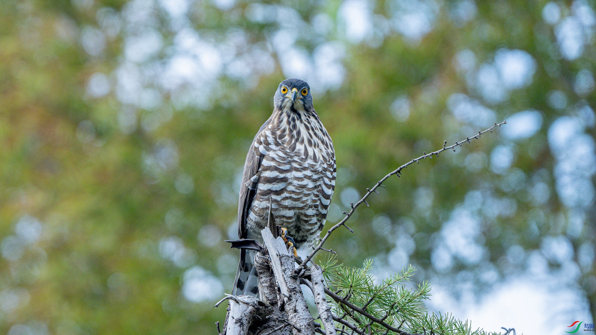DSC_7191.jpg
