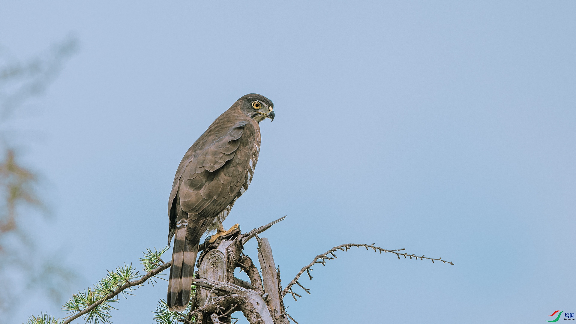 DSC_2984 ����.jpg