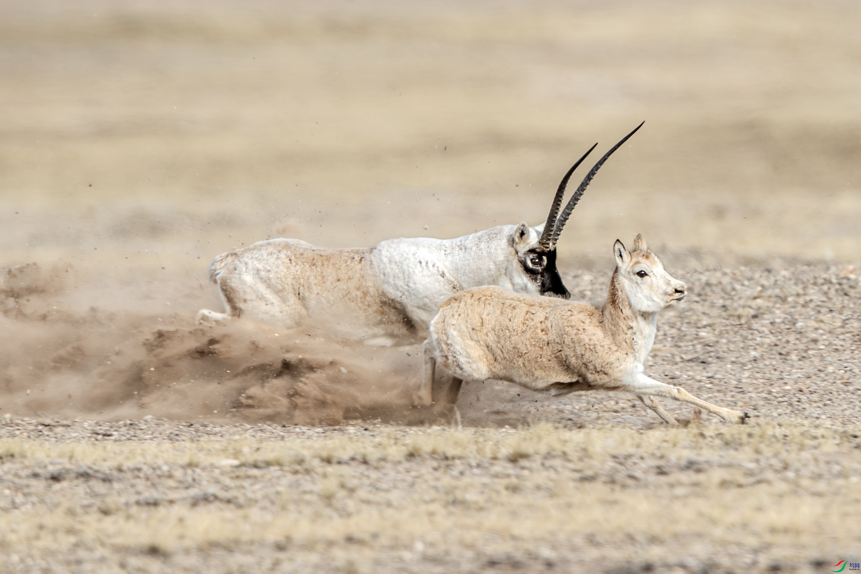 A15I2666 ����.jpg