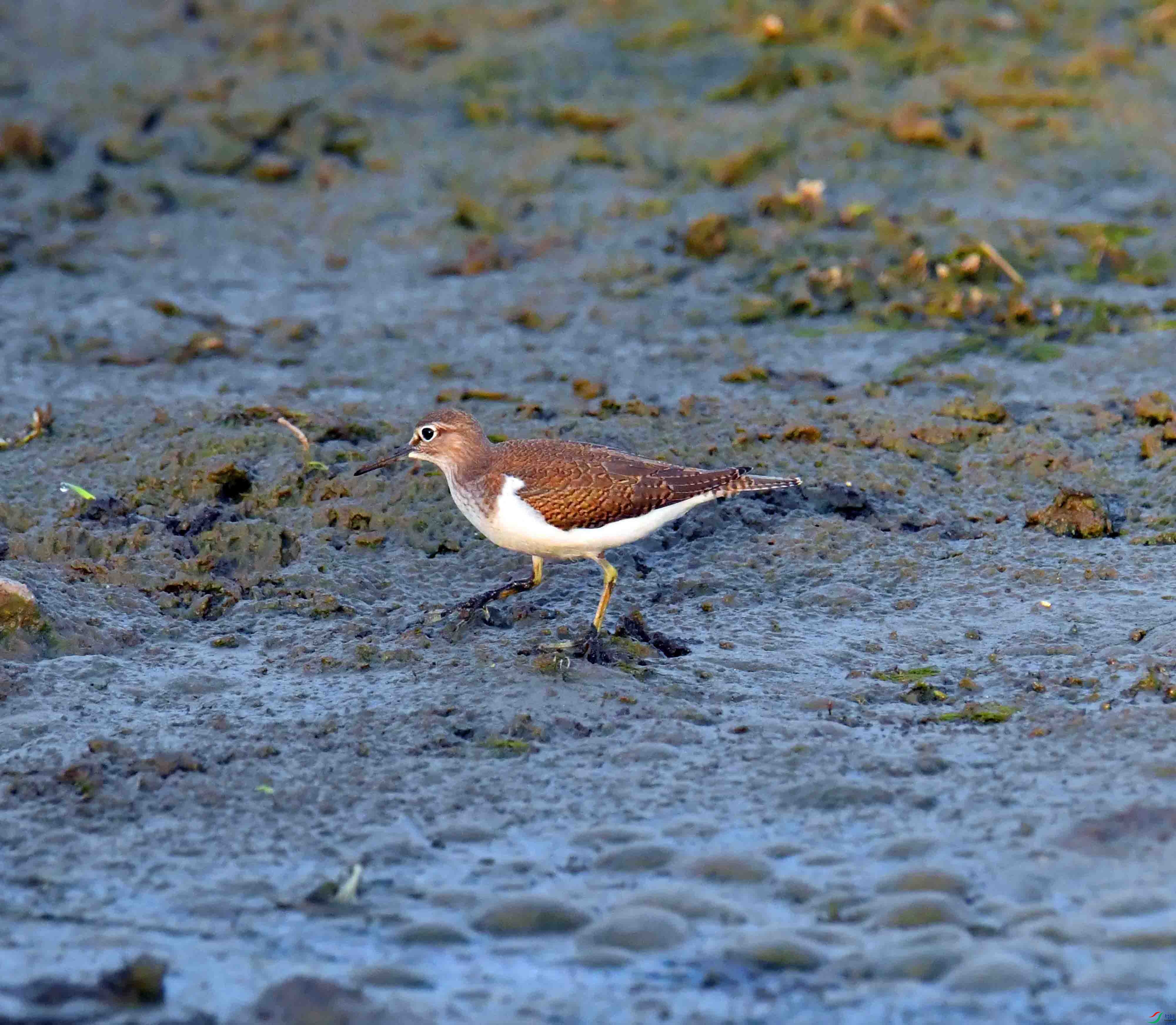 DSC_2059.JPG