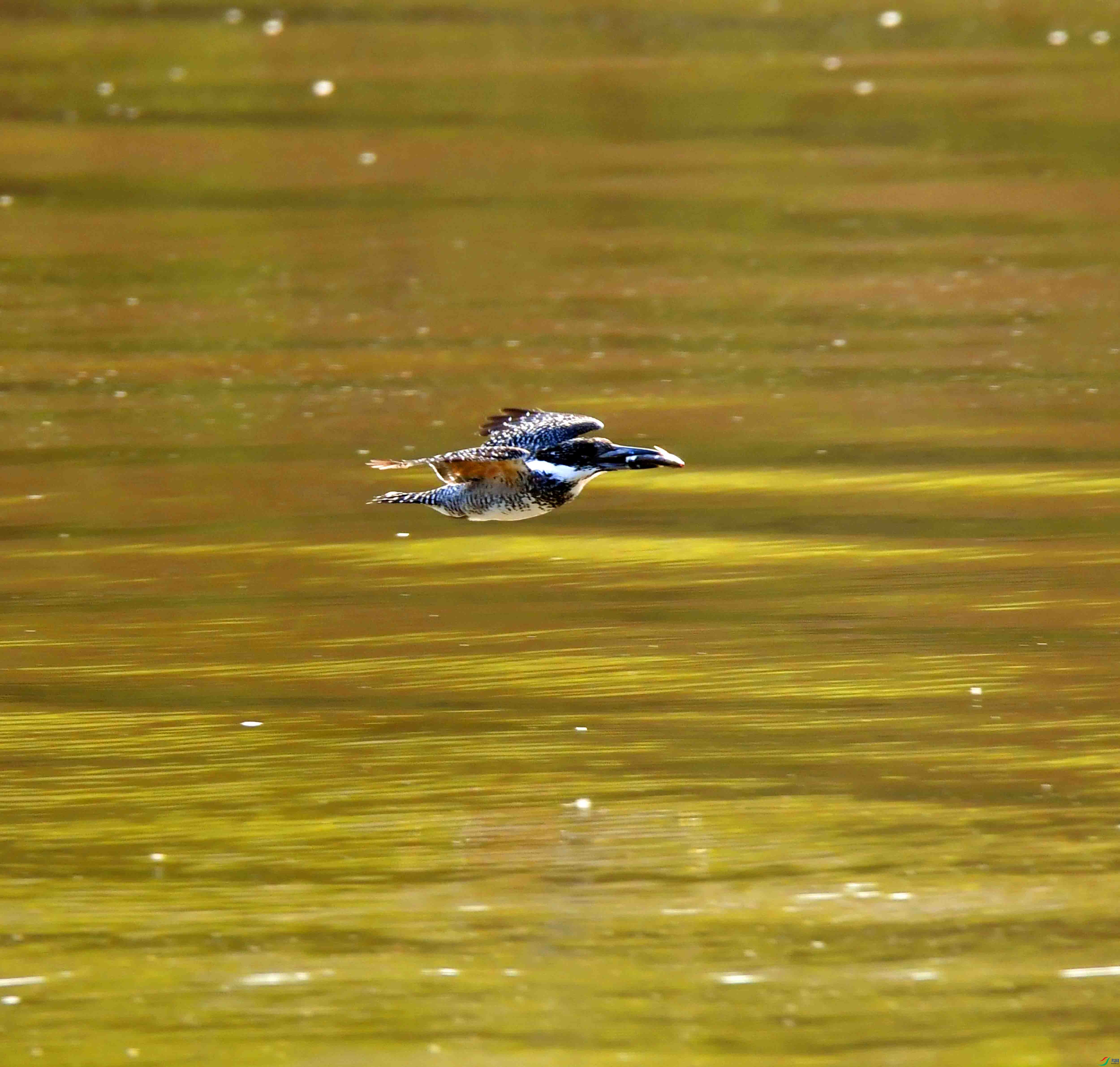 DSC_8563.JPG