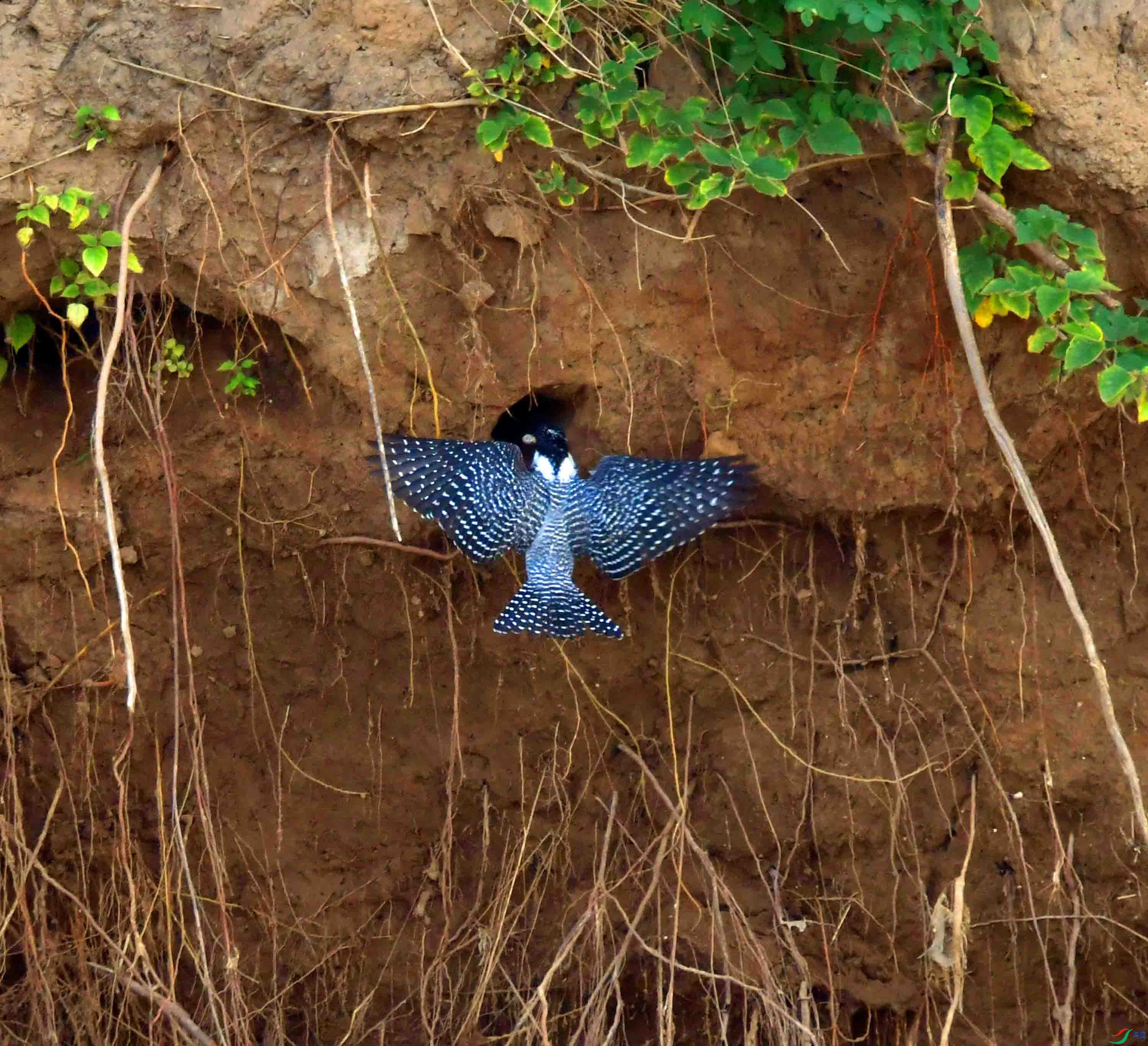 DSC_9043.JPG