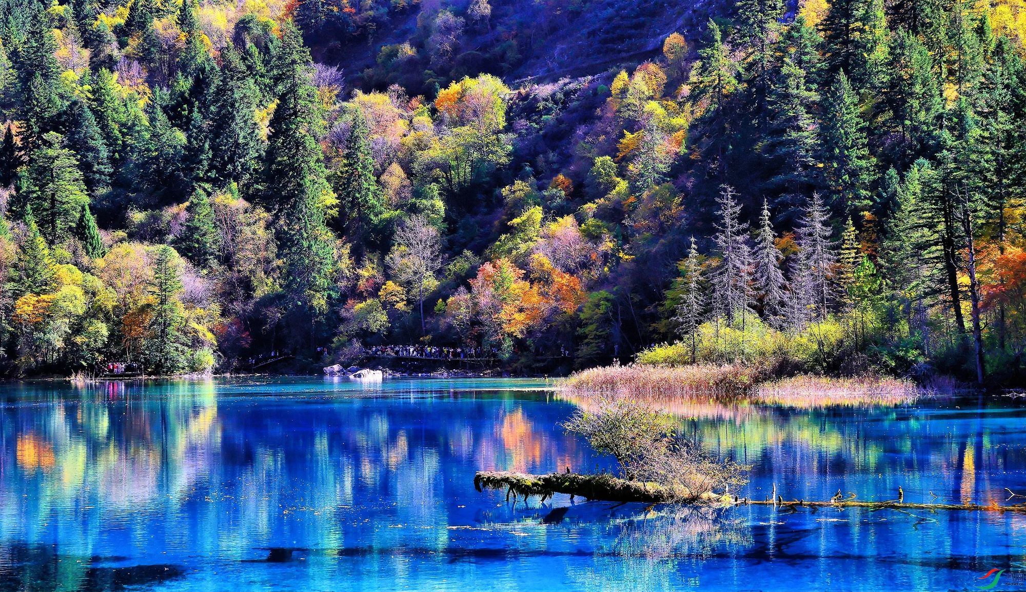 Ũī�زʾ�կ��