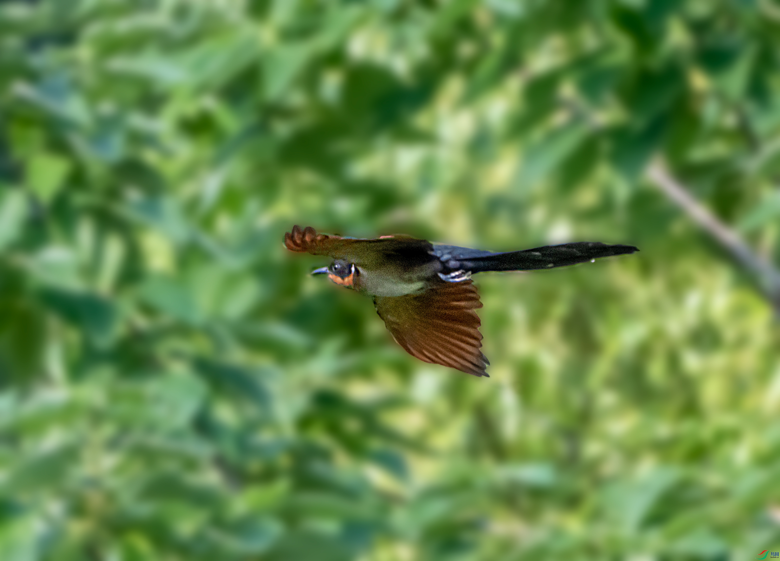 DSC_8582-11.jpg