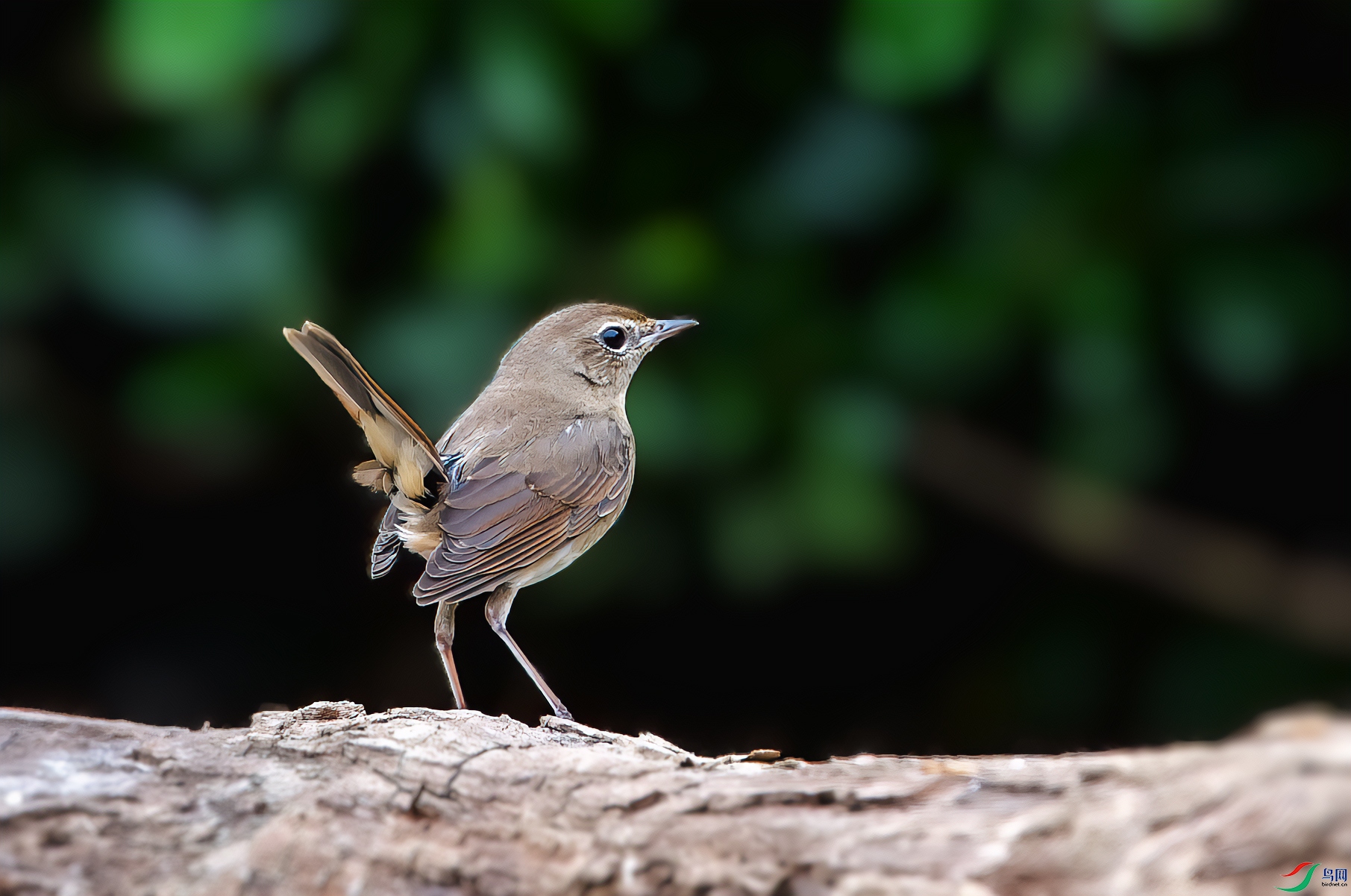 DSC_4288.jpg
