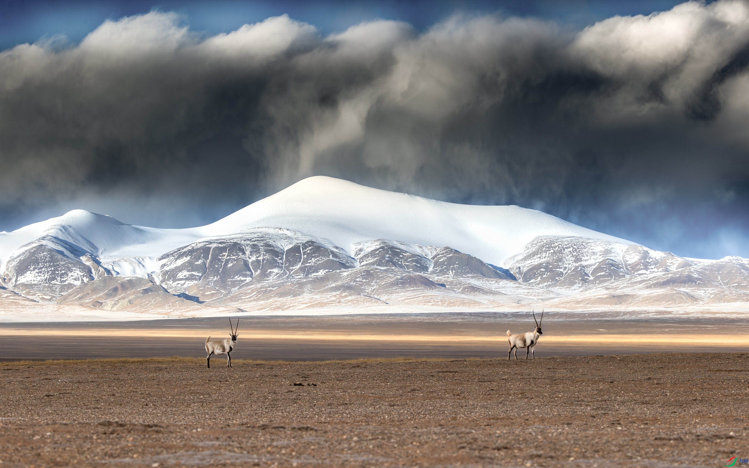 A15I2210 ����.jpg