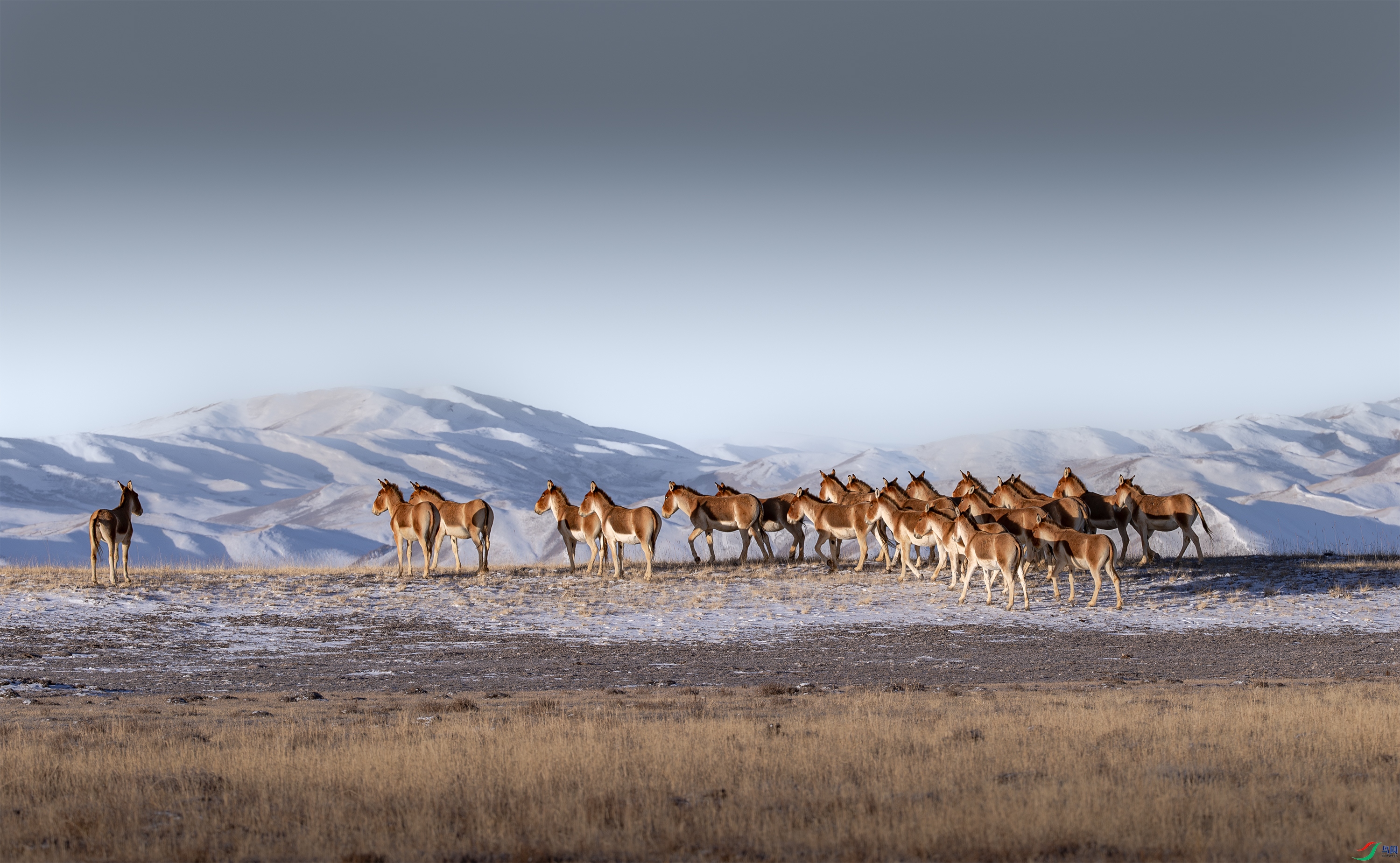 A15I3772 ����.jpg