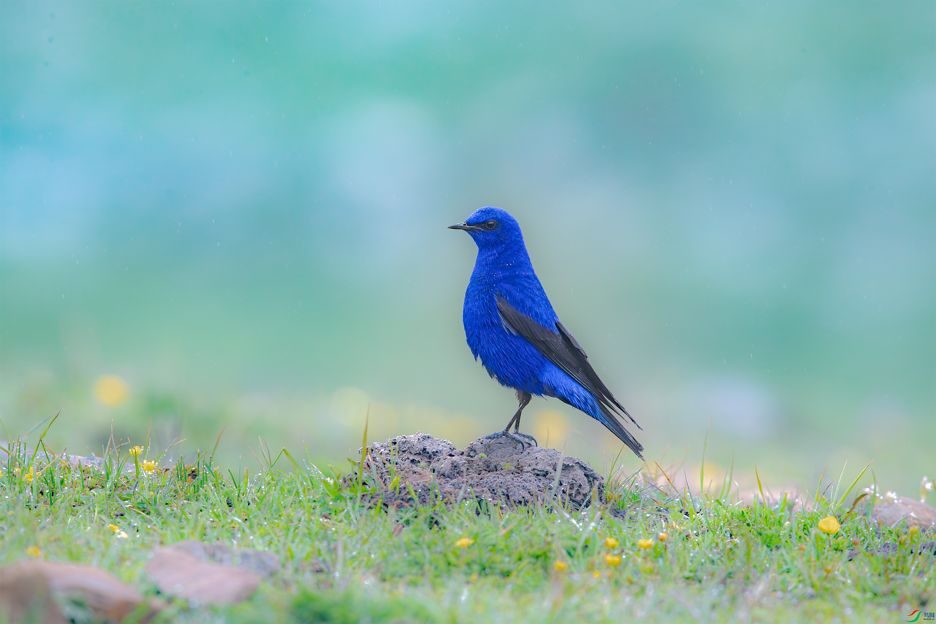 AY8I1236 ����.jpg