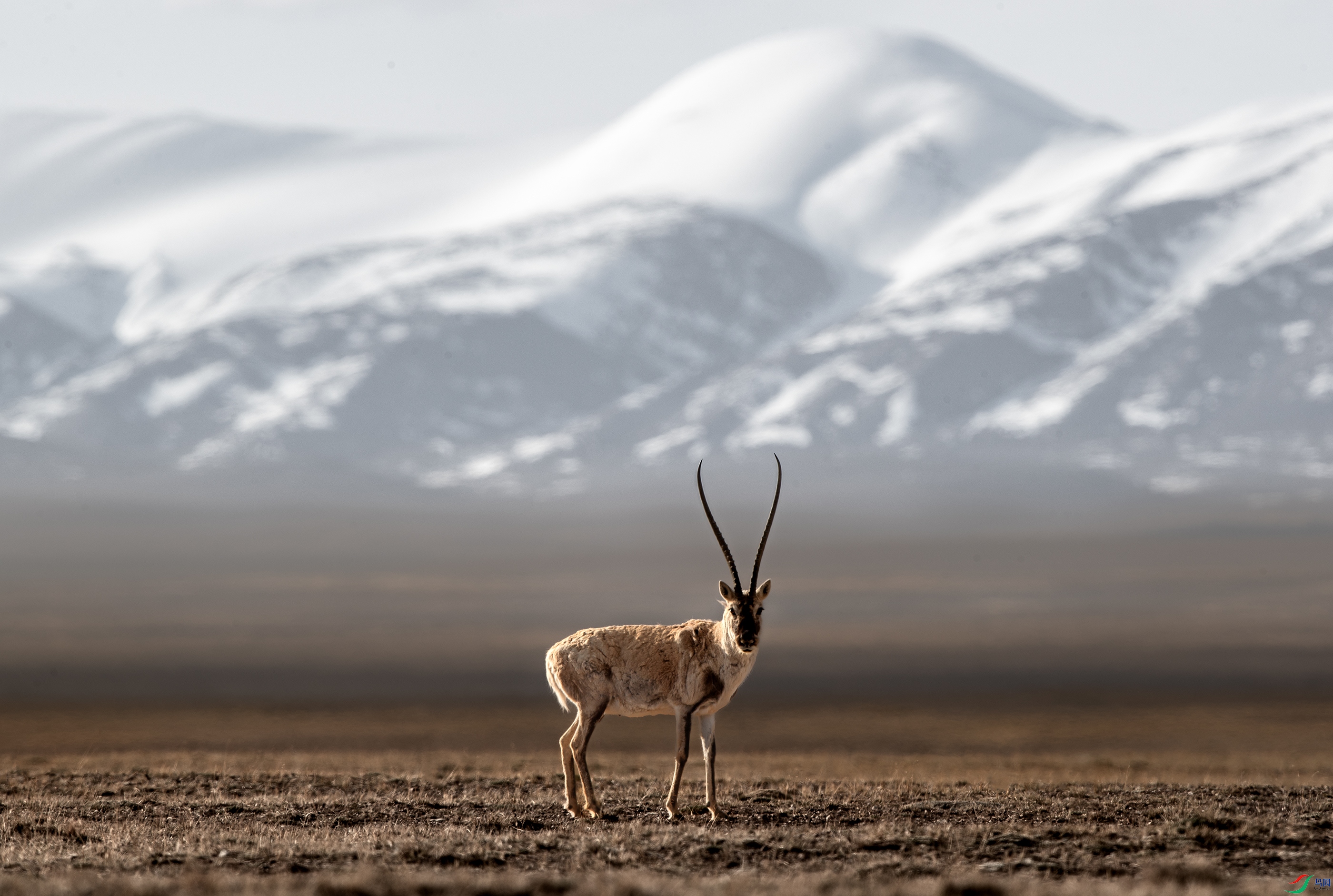 AY8I1565 ����.jpg