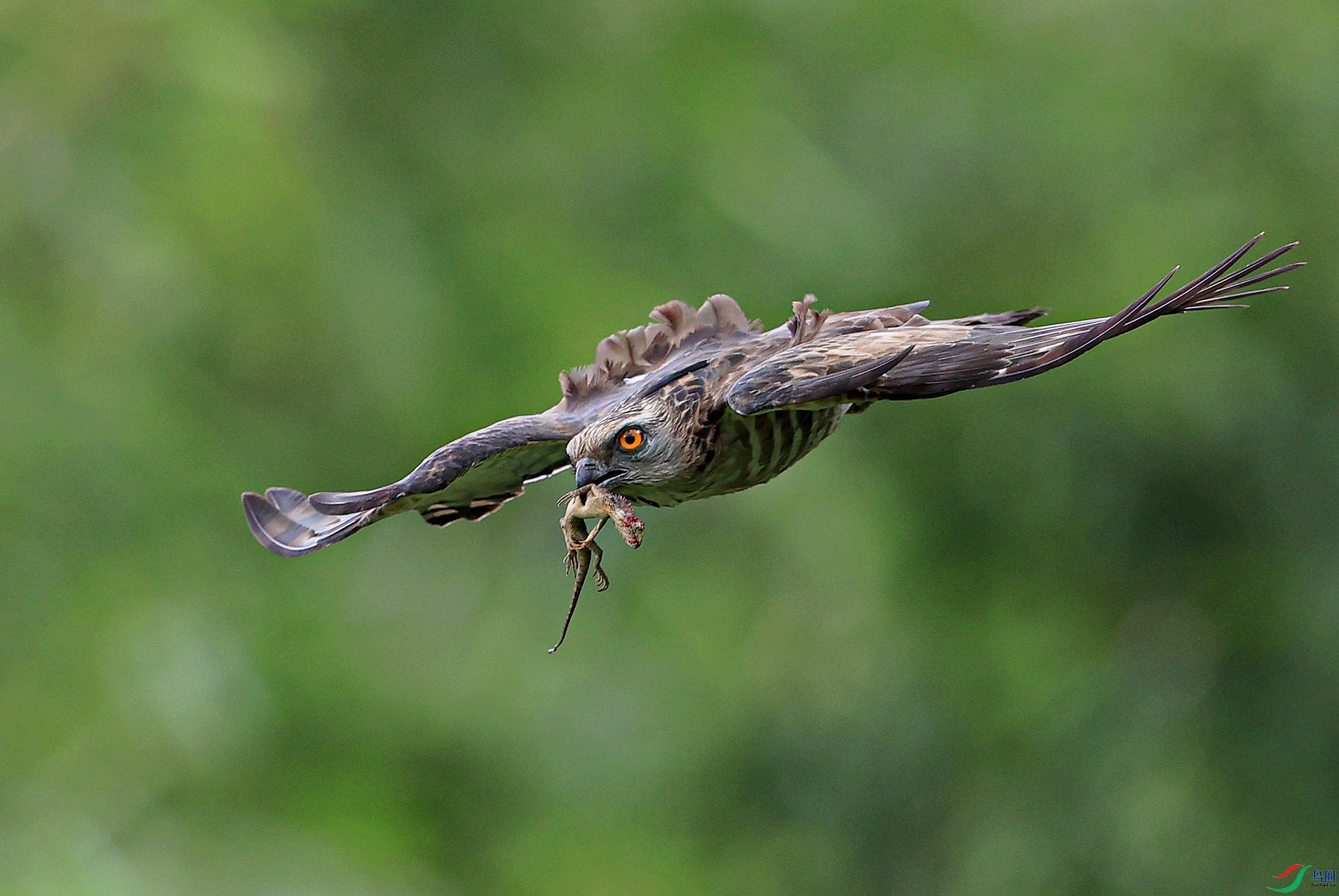 4.����AK1I3347 ���е�����.JPG