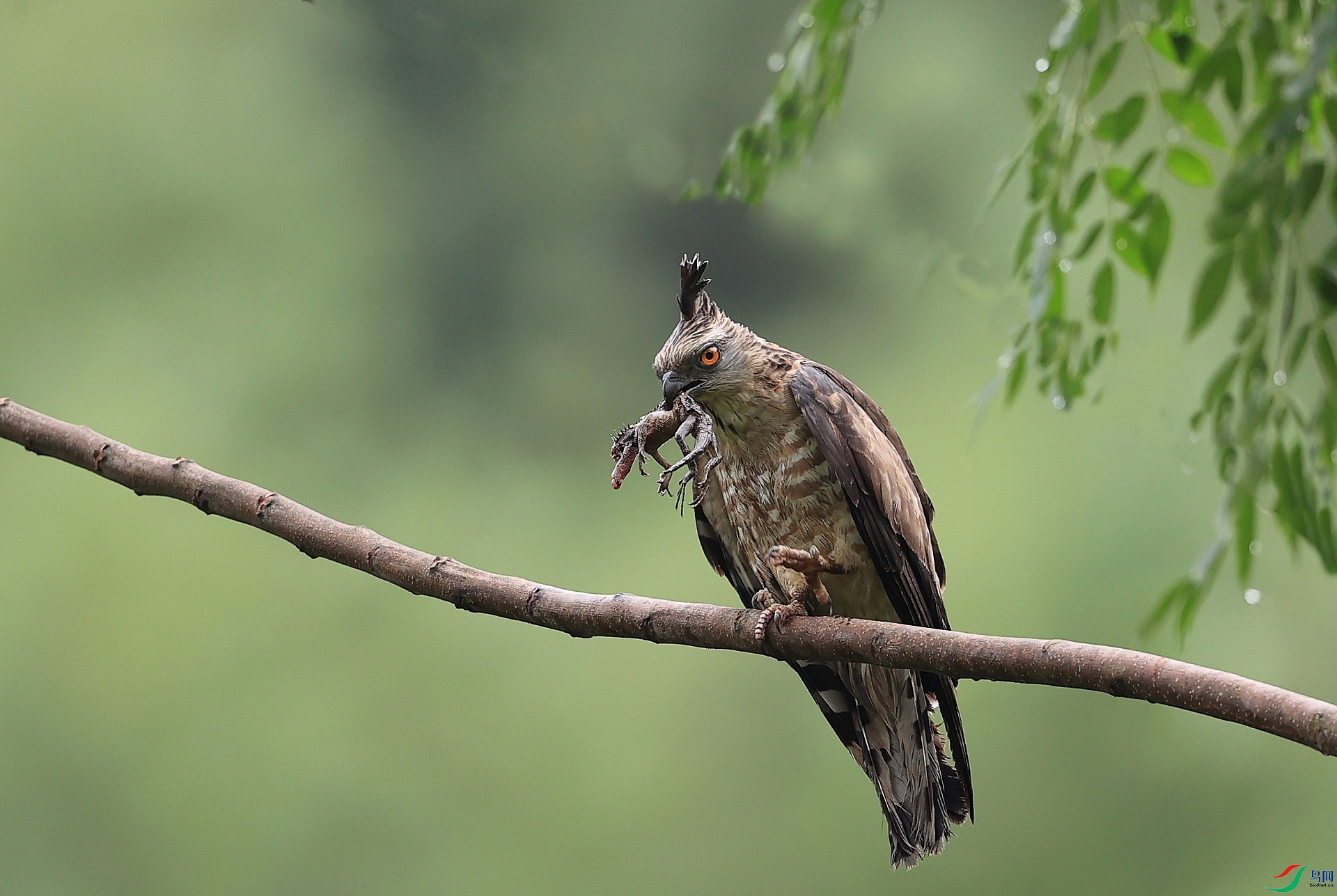 3.����AK1I2759  ���������������.jpg