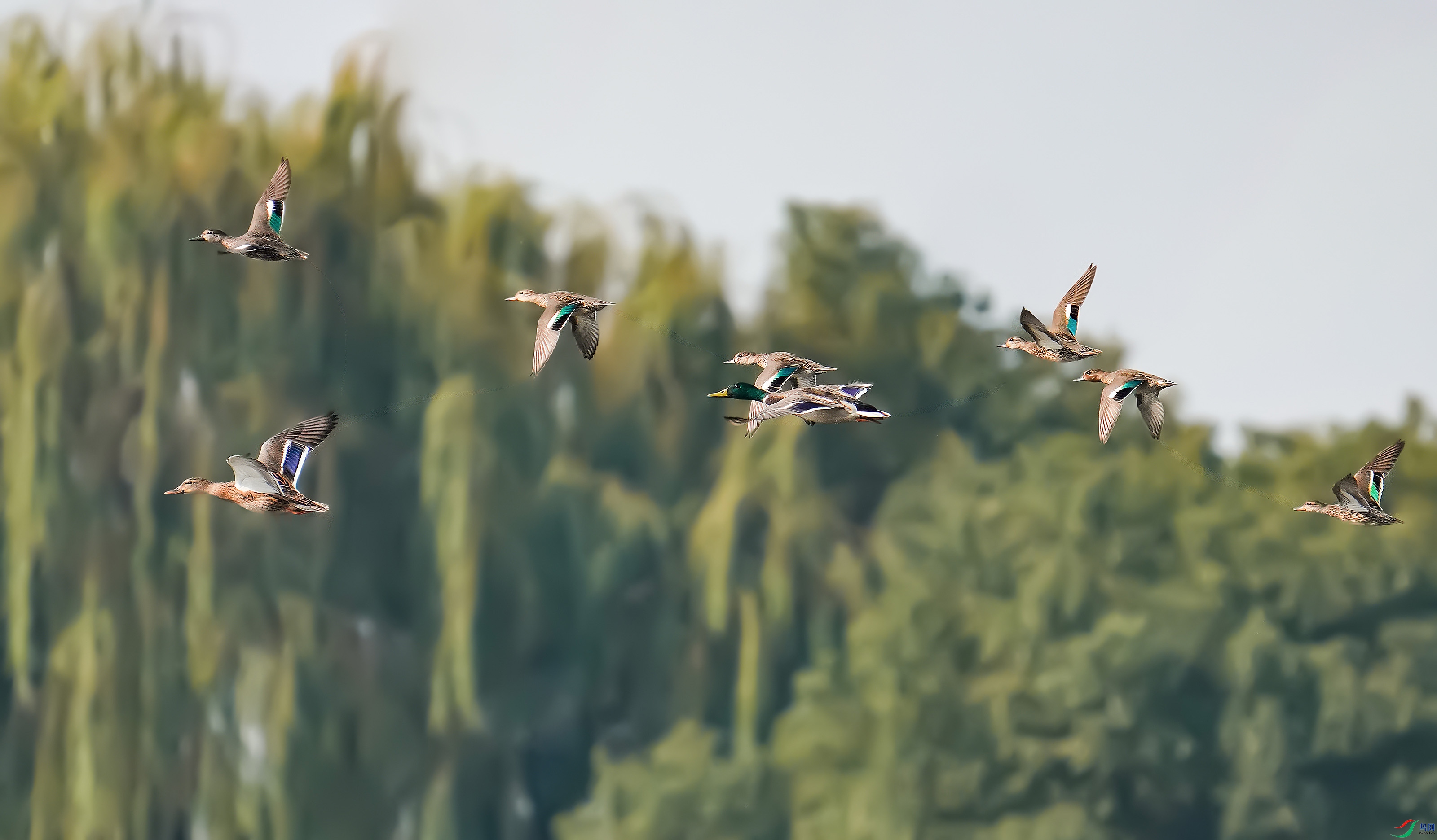 DSC07206���� 1.jpg