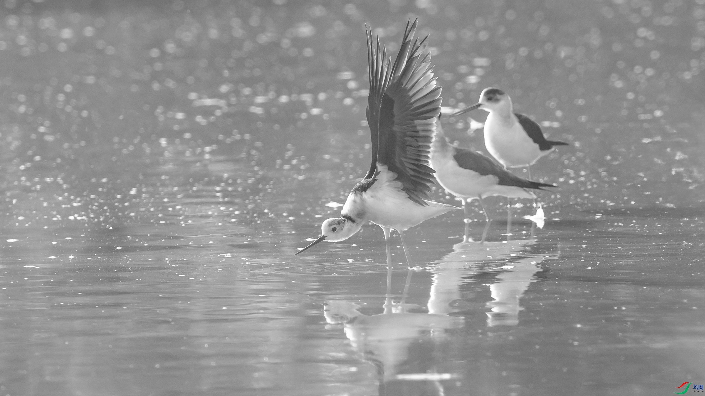 5483 ����.jpg