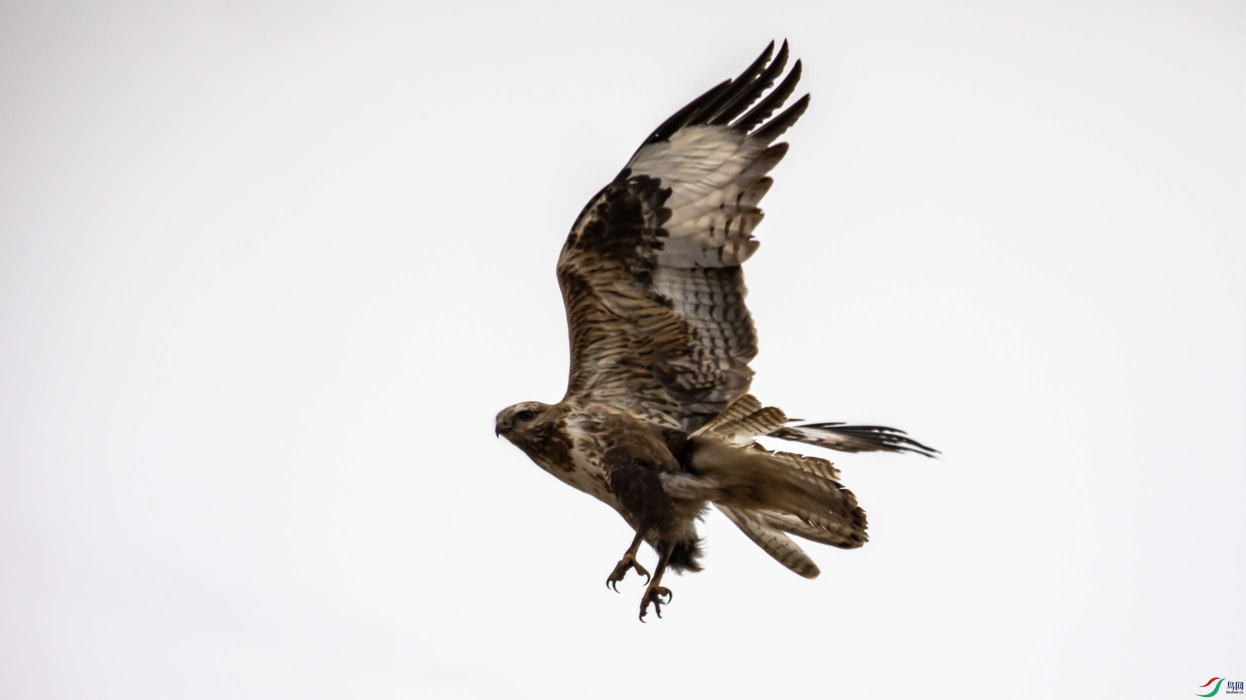 I99A6131 ����.jpg