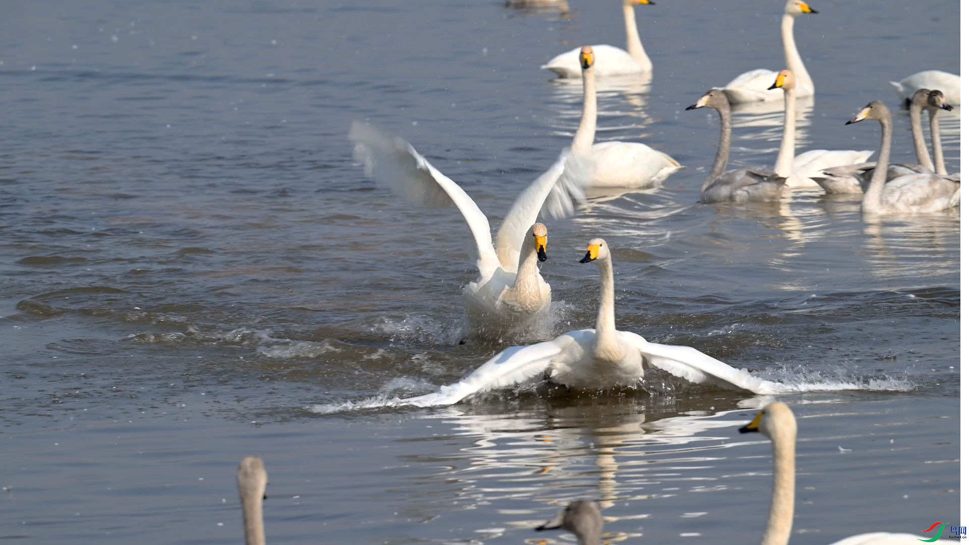 11��15�� (1).png